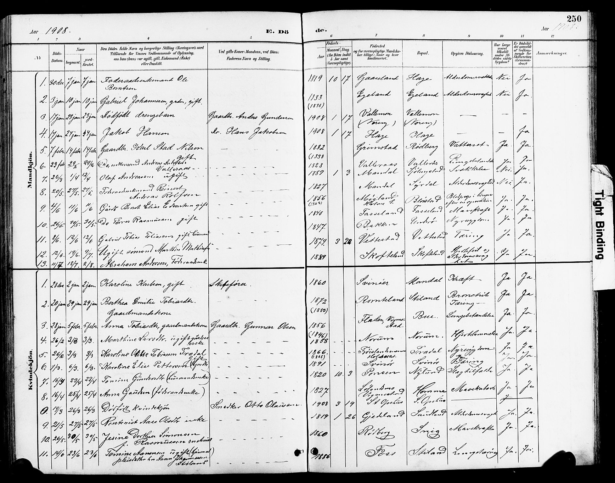Sør-Audnedal sokneprestkontor, AV/SAK-1111-0039/F/Fb/Fbb/L0006: Klokkerbok nr. B 6, 1893-1915, s. 250