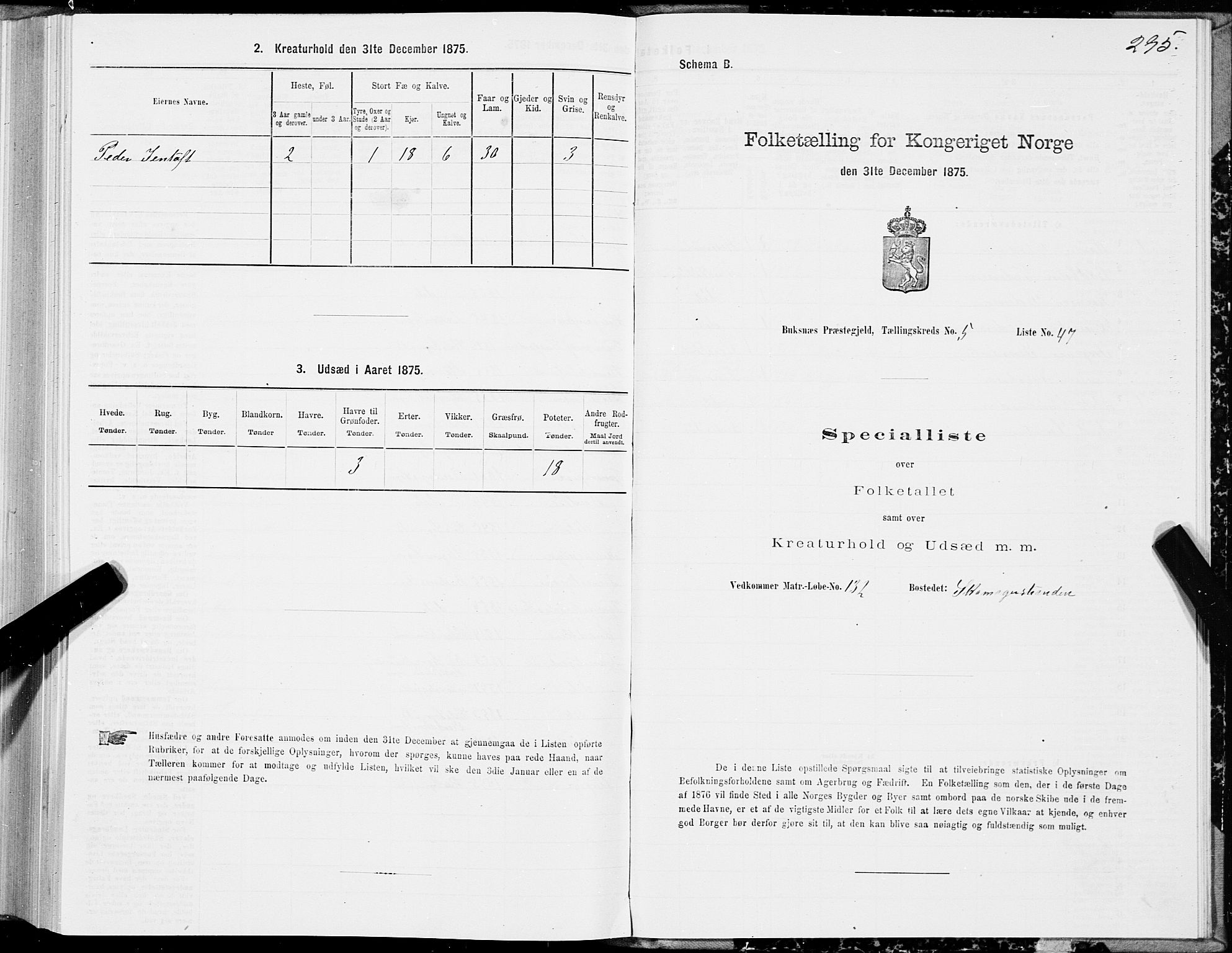 SAT, Folketelling 1875 for 1860P Buksnes prestegjeld, 1875, s. 2295