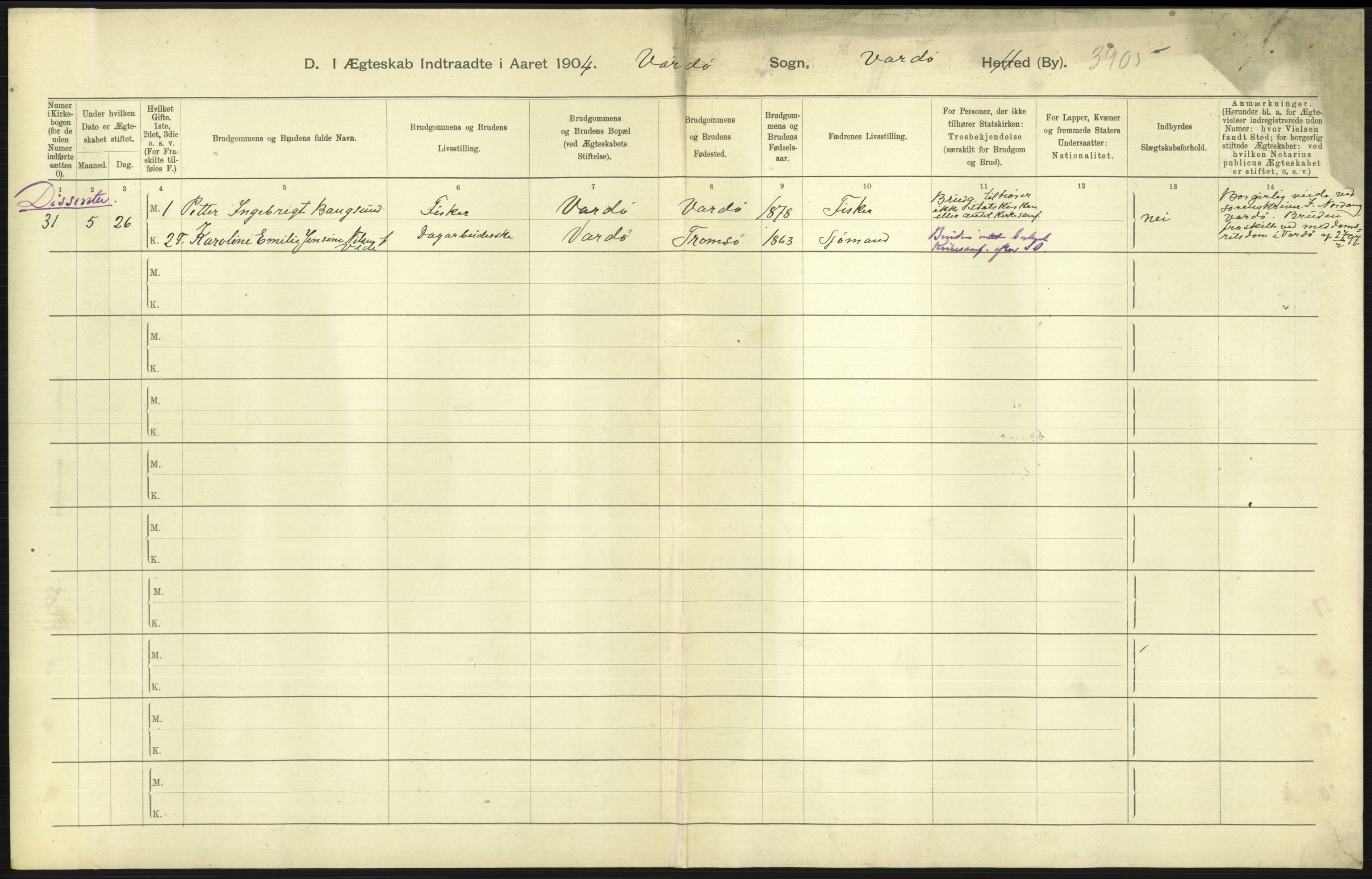 Statistisk sentralbyrå, Sosiodemografiske emner, Befolkning, AV/RA-S-2228/D/Df/Dfa/Dfab/L0023: Finnmarkens amt: Fødte, gifte, døde, 1904, s. 209