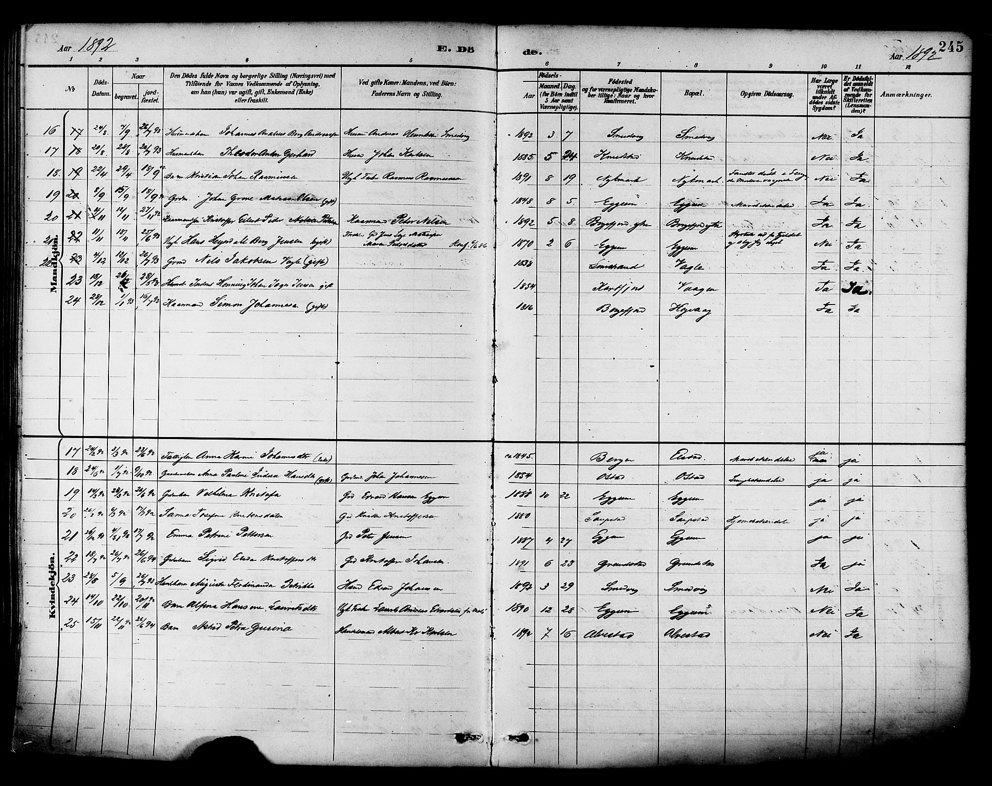 Ministerialprotokoller, klokkerbøker og fødselsregistre - Nordland, SAT/A-1459/880/L1133: Ministerialbok nr. 880A07, 1888-1898, s. 245