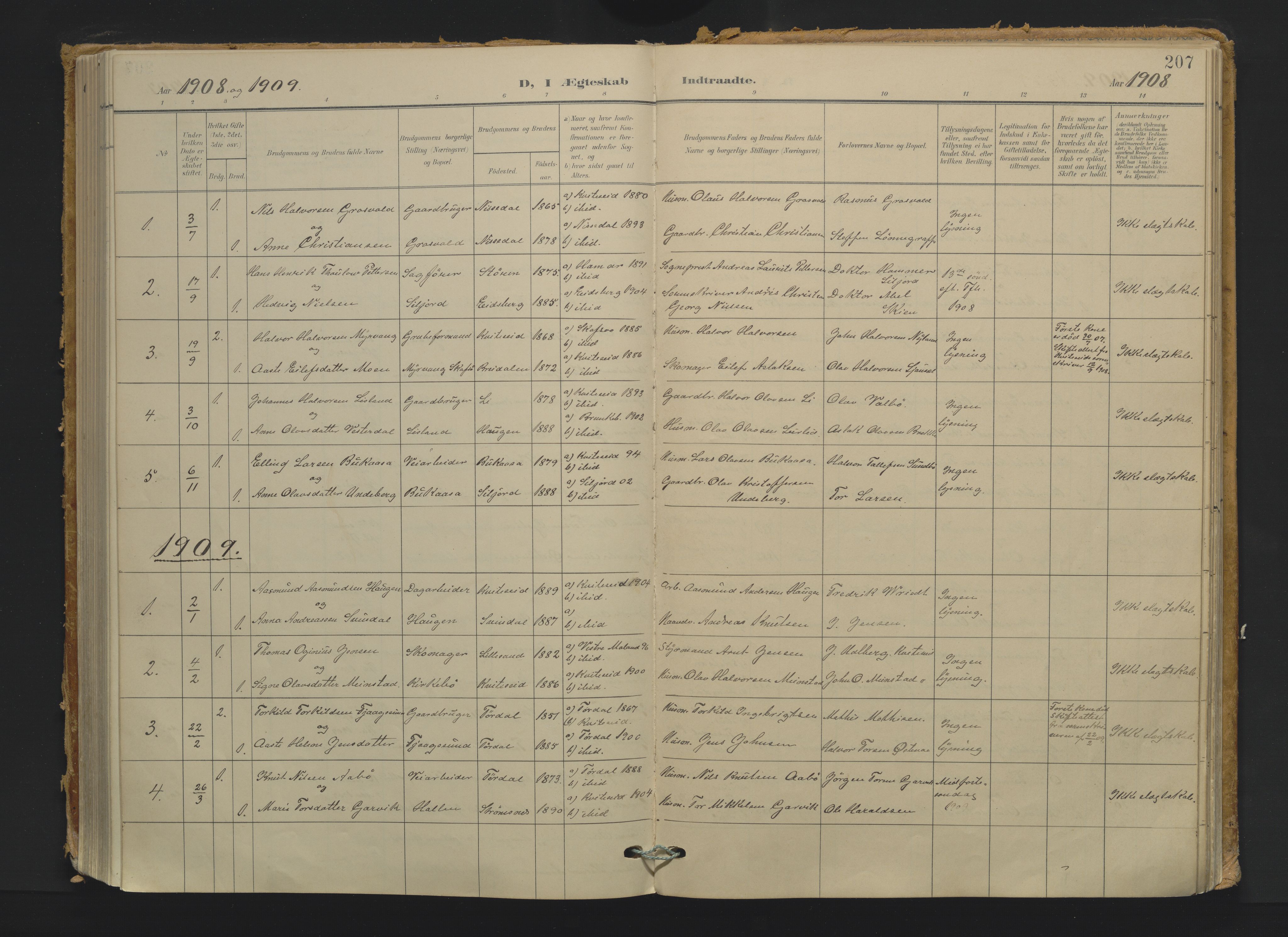 Kviteseid kirkebøker, AV/SAKO-A-276/F/Fa/L0009: Ministerialbok nr. I 9, 1903-1934, s. 207