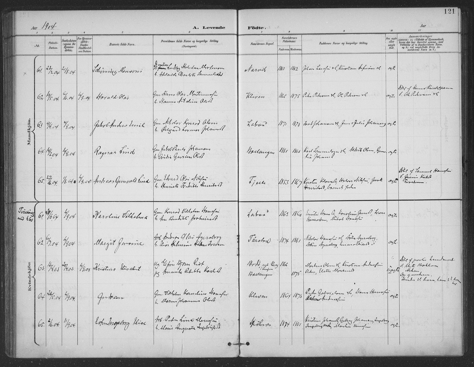 Ministerialprotokoller, klokkerbøker og fødselsregistre - Nordland, AV/SAT-A-1459/863/L0899: Ministerialbok nr. 863A11, 1897-1906, s. 121