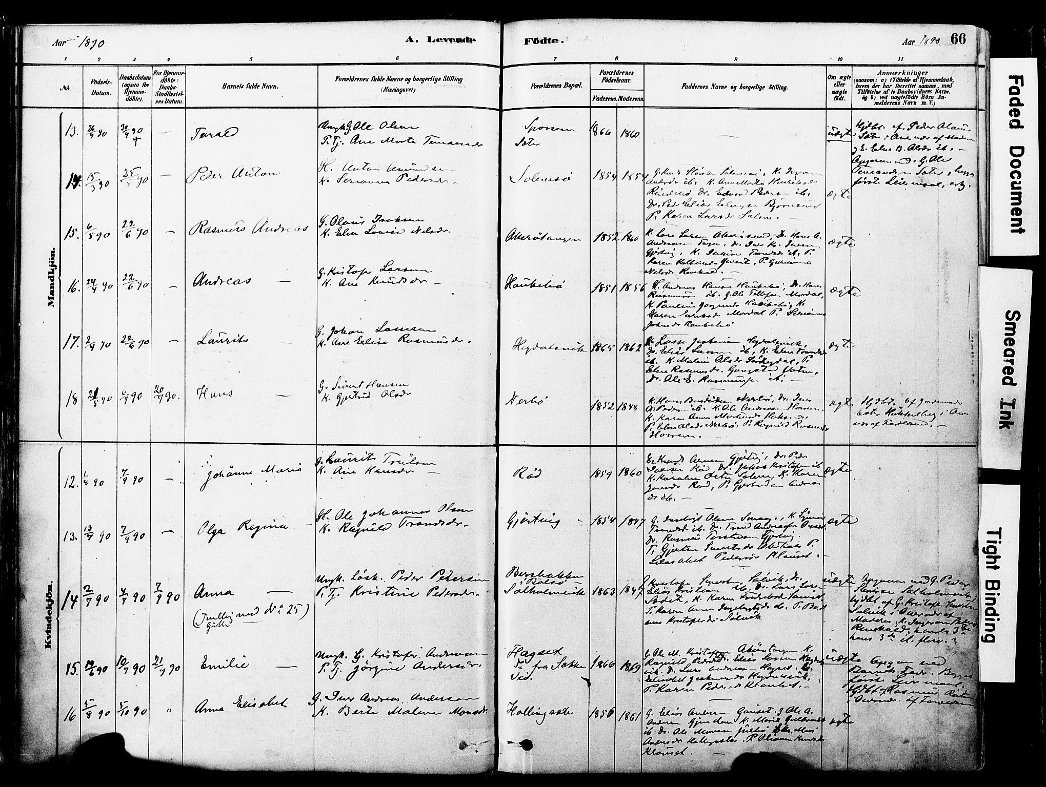 Ministerialprotokoller, klokkerbøker og fødselsregistre - Møre og Romsdal, AV/SAT-A-1454/560/L0721: Ministerialbok nr. 560A05, 1878-1917, s. 66