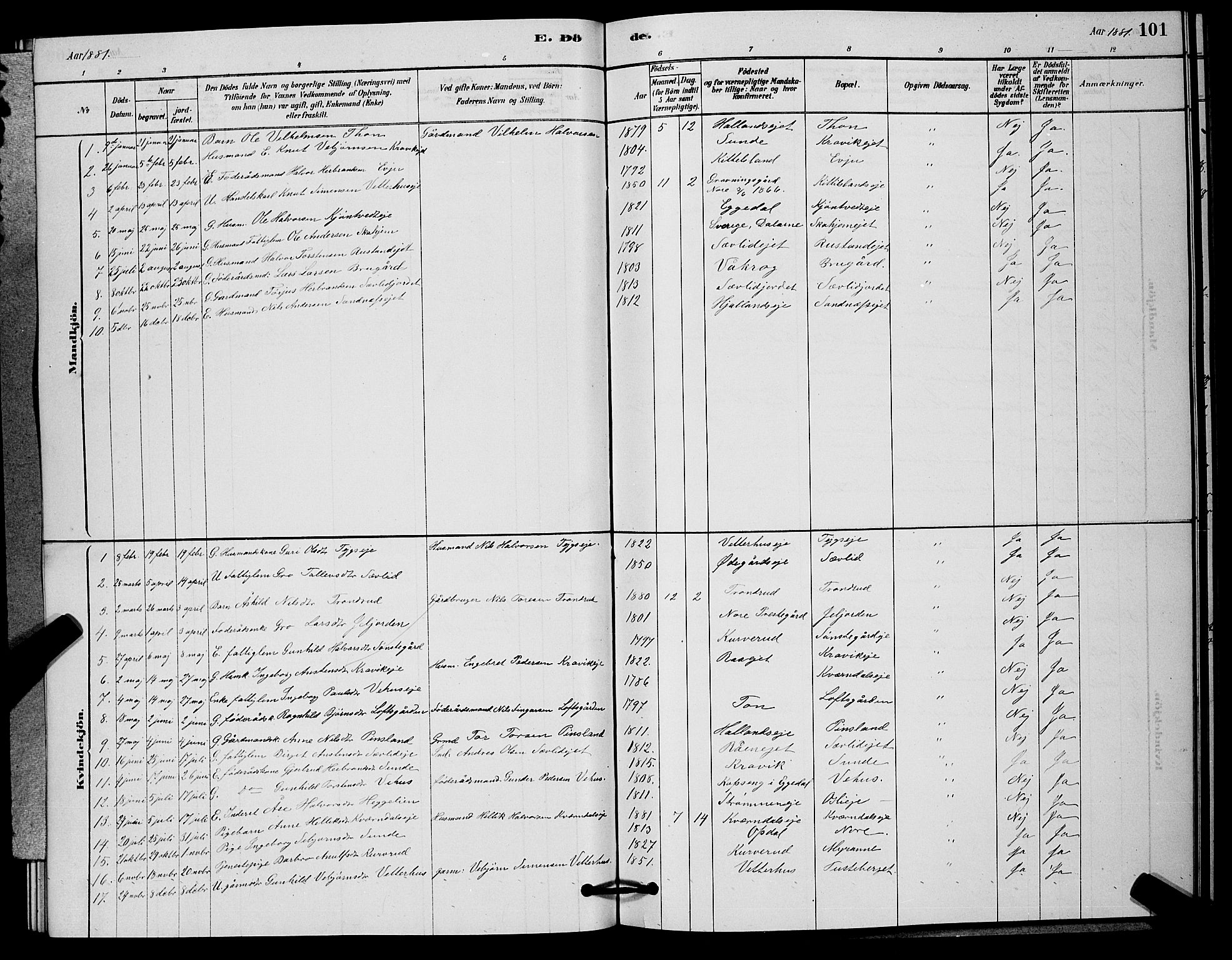 Nore kirkebøker, AV/SAKO-A-238/G/Ga/L0002: Klokkerbok nr. I 2, 1878-1885, s. 101