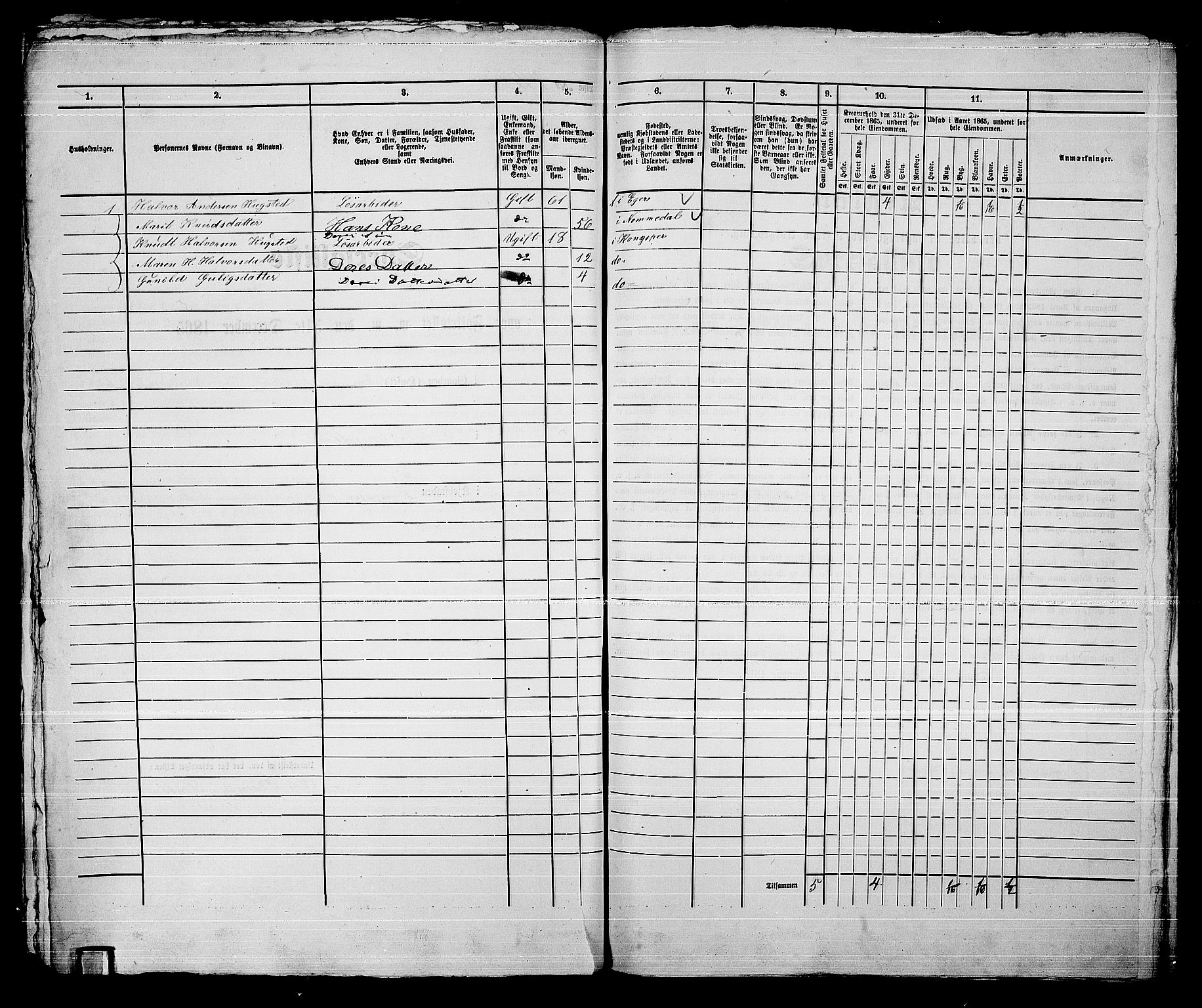 RA, Folketelling 1865 for 0604B Kongsberg prestegjeld, Kongsberg kjøpstad, 1865, s. 1513