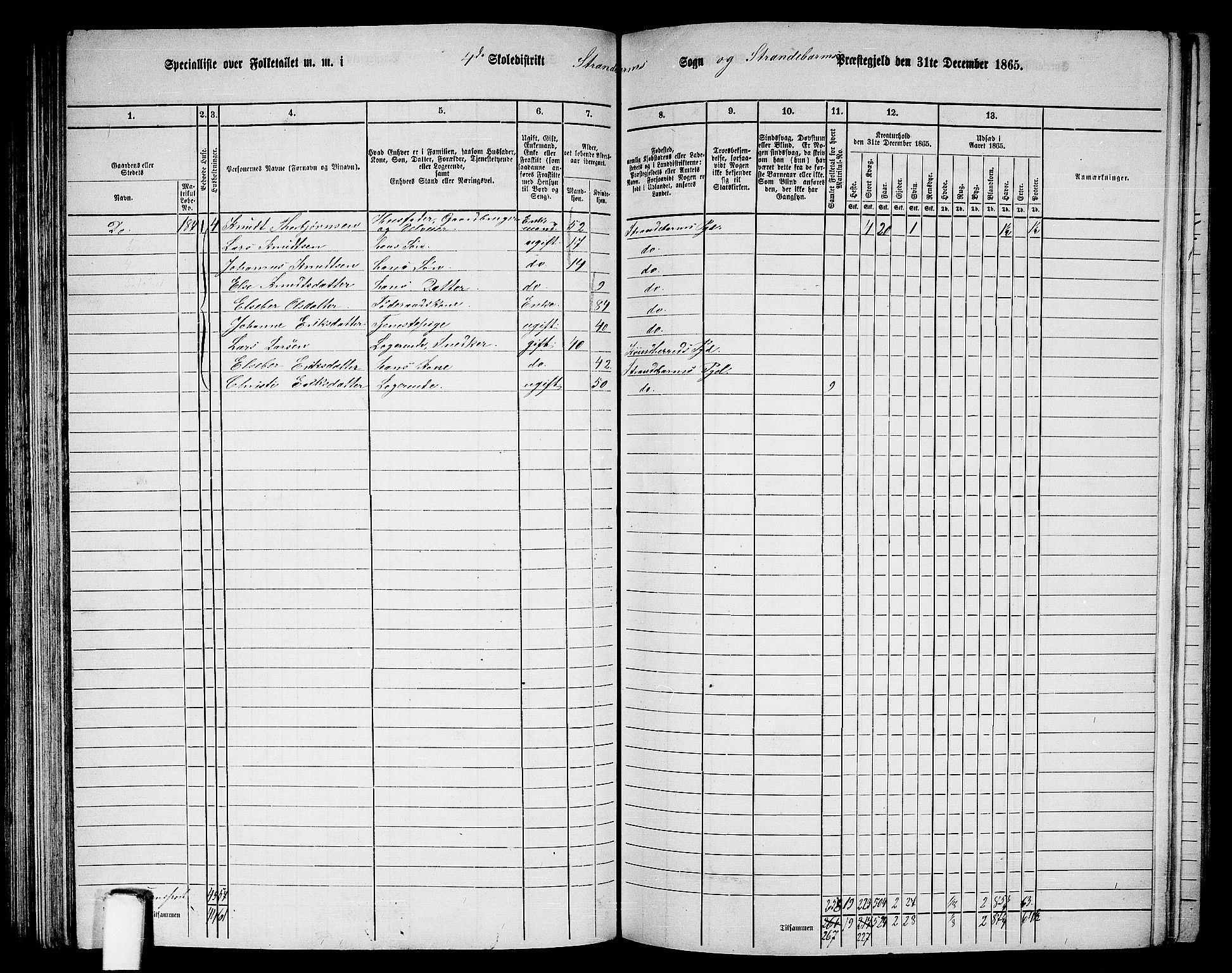 RA, Folketelling 1865 for 1226P Strandebarm prestegjeld, 1865, s. 96