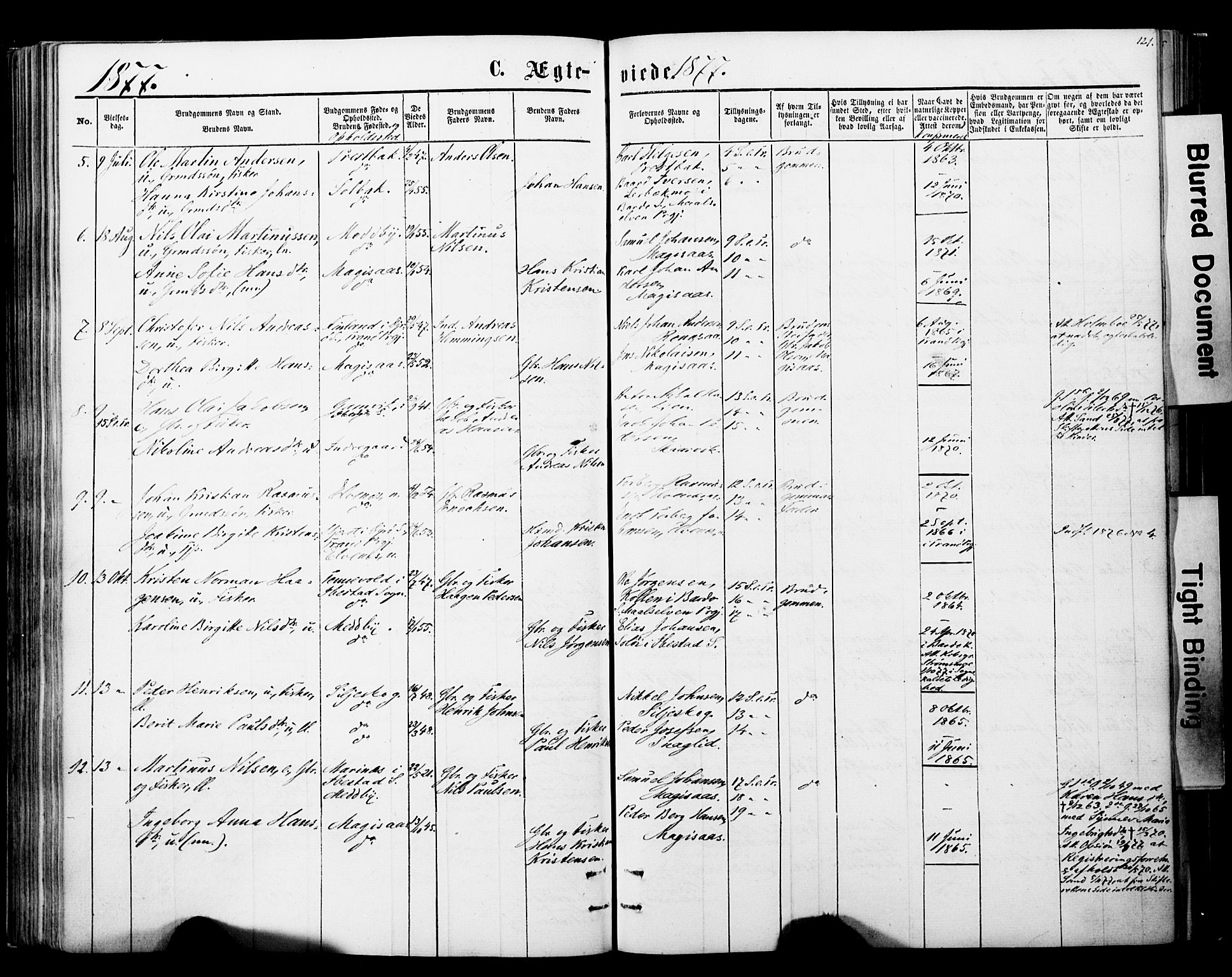 Ibestad sokneprestembete, AV/SATØ-S-0077/H/Ha/Haa/L0013kirke: Ministerialbok nr. 13, 1865-1879, s. 121