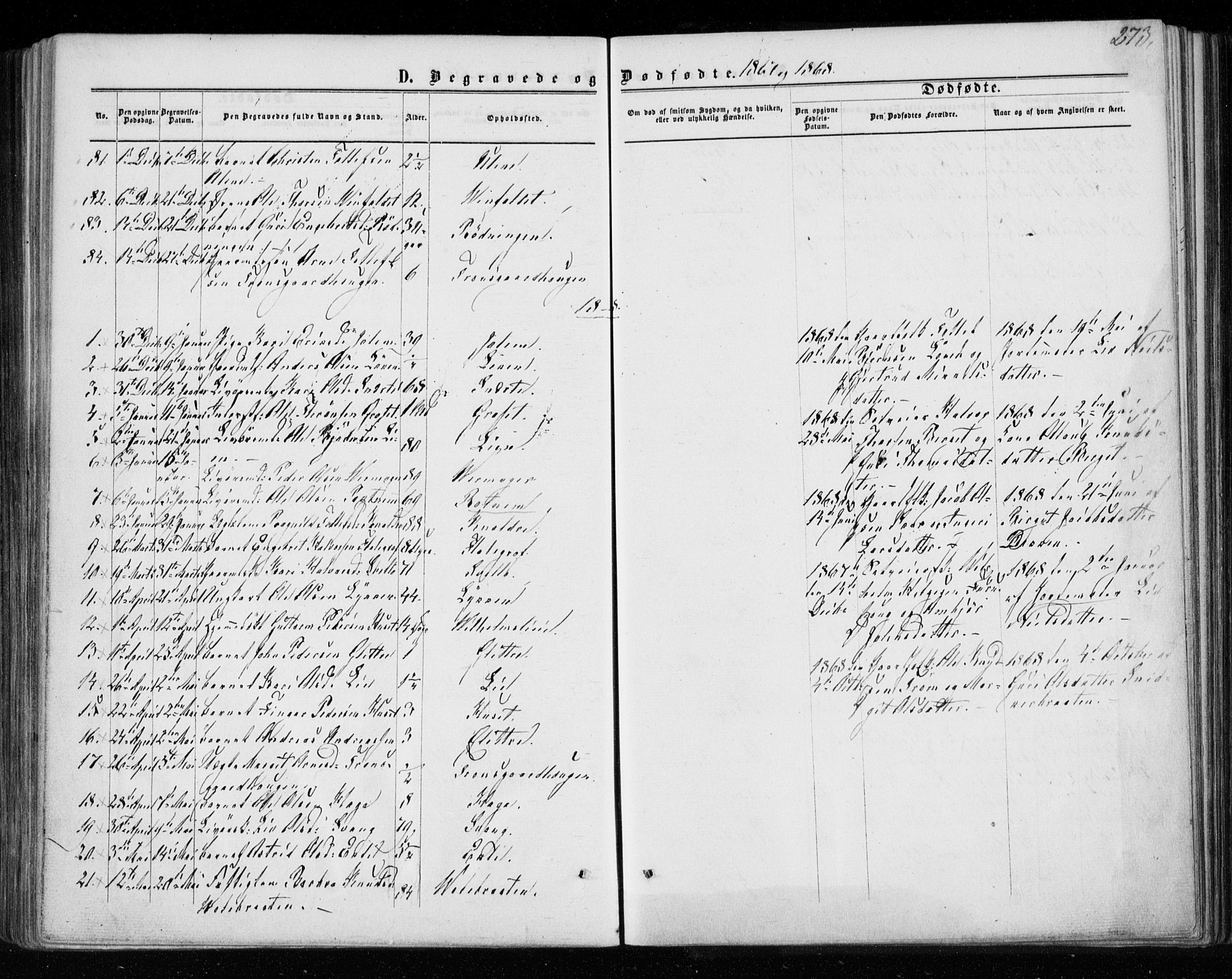 Gol kirkebøker, AV/SAKO-A-226/F/Fa/L0003: Ministerialbok nr. I 3, 1863-1875, s. 273