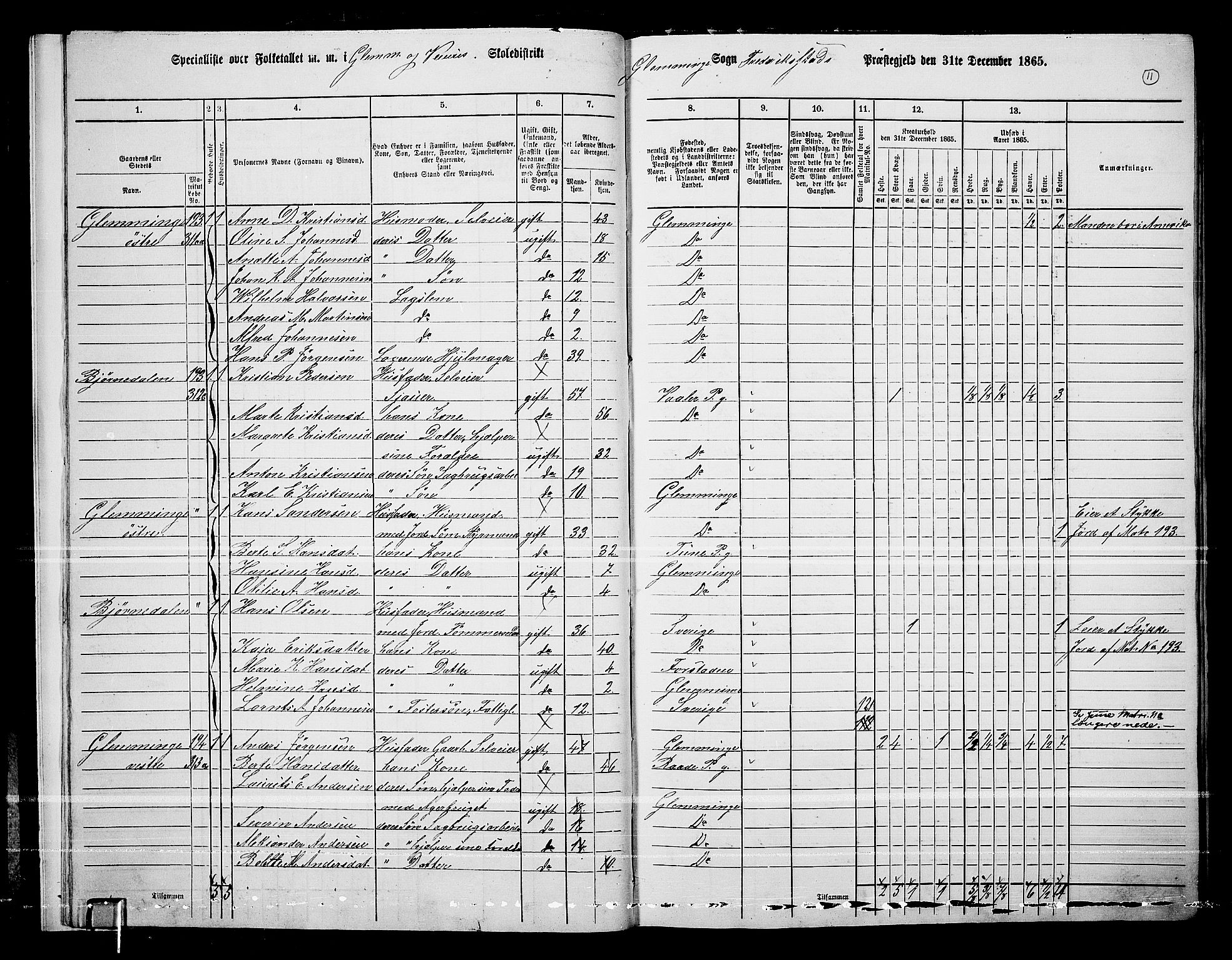 RA, Folketelling 1865 for 0132L Fredrikstad prestegjeld, Glemmen sokn, 1865, s. 13