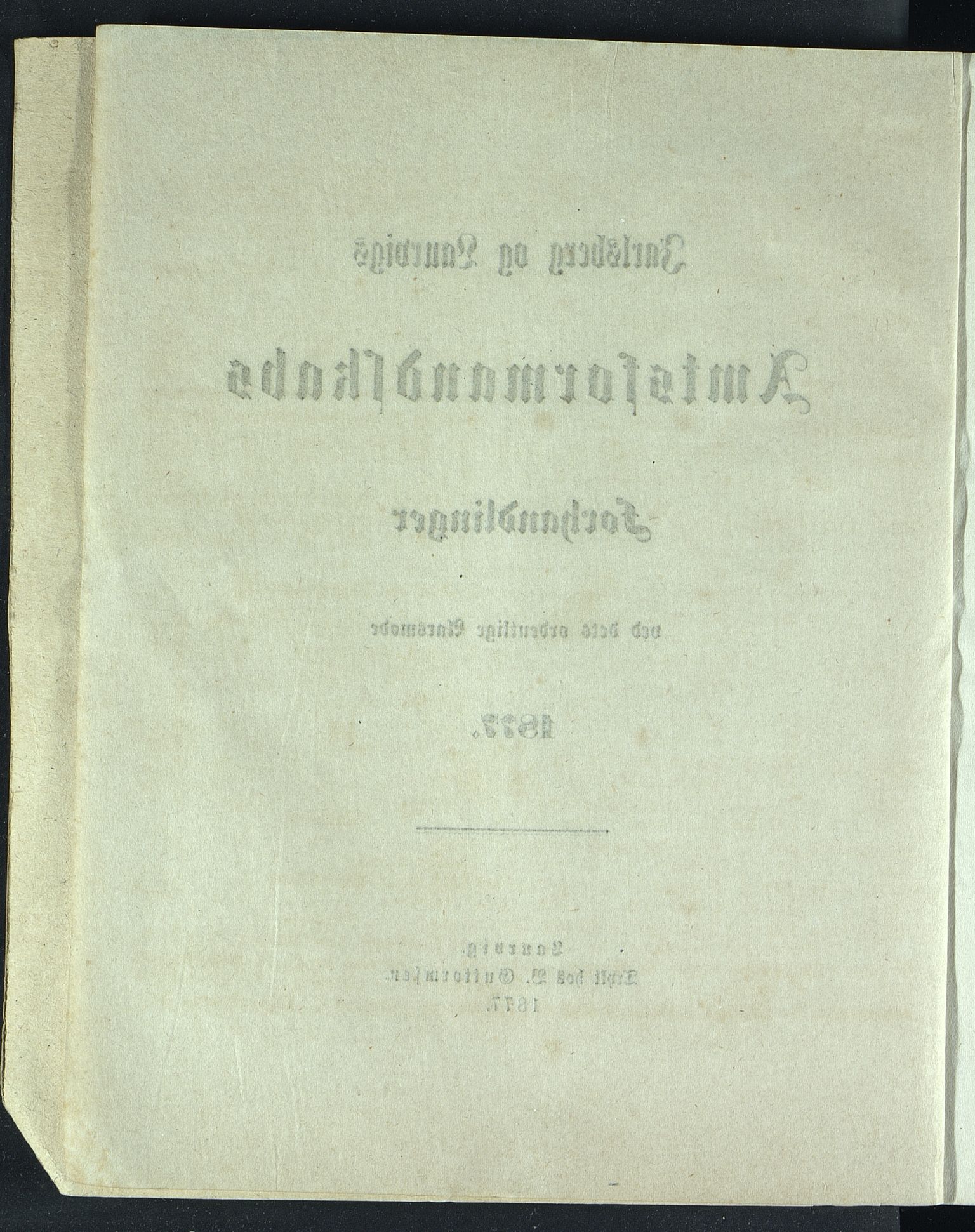 Vestfold fylkeskommune. Fylkestinget, VEMU/A-1315/A/Ab/Abb/L0024: Fylkestingsforhandlinger, 1877