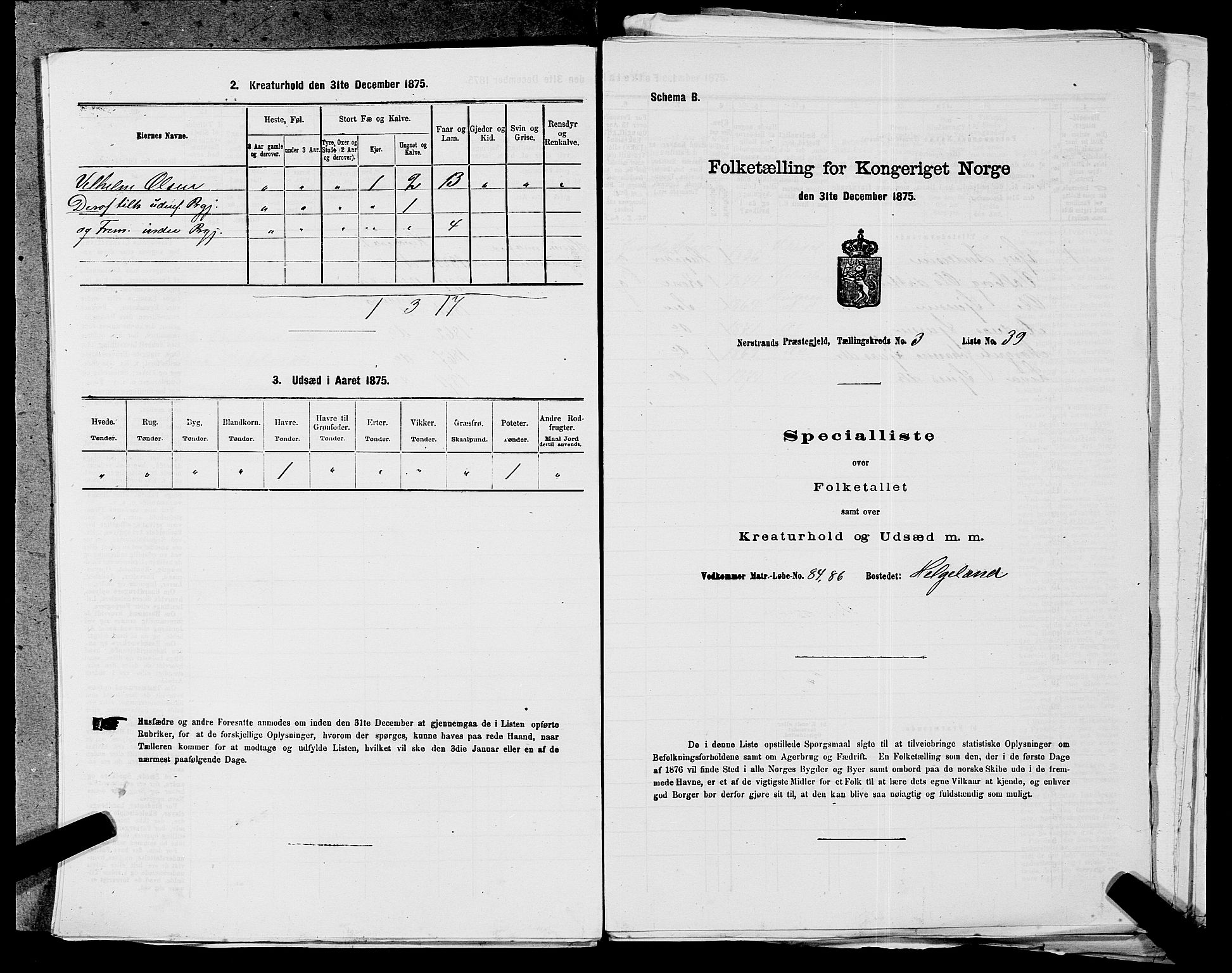 SAST, Folketelling 1875 for 1139P Nedstrand prestegjeld, 1875, s. 524