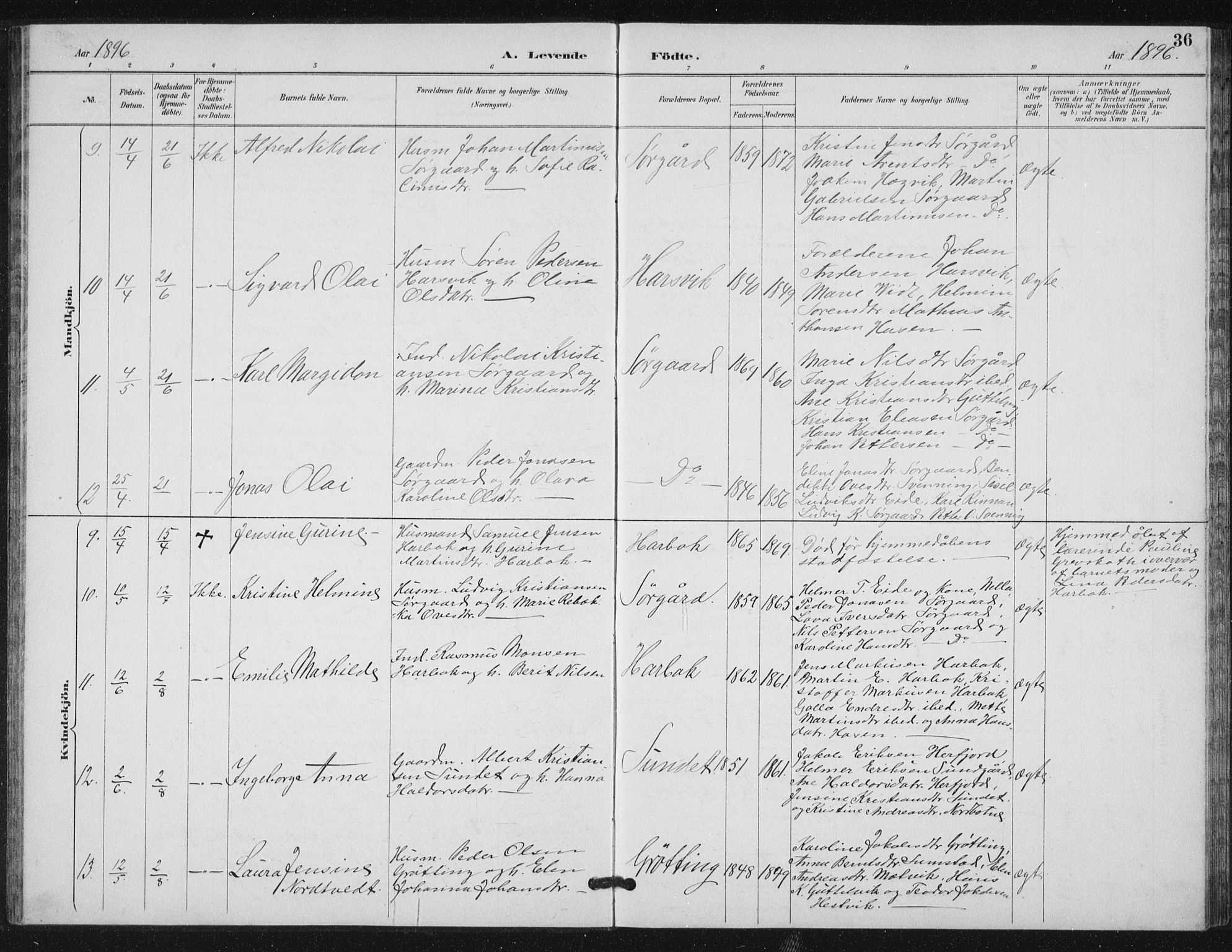 Ministerialprotokoller, klokkerbøker og fødselsregistre - Sør-Trøndelag, AV/SAT-A-1456/656/L0698: Klokkerbok nr. 656C04, 1890-1904, s. 36