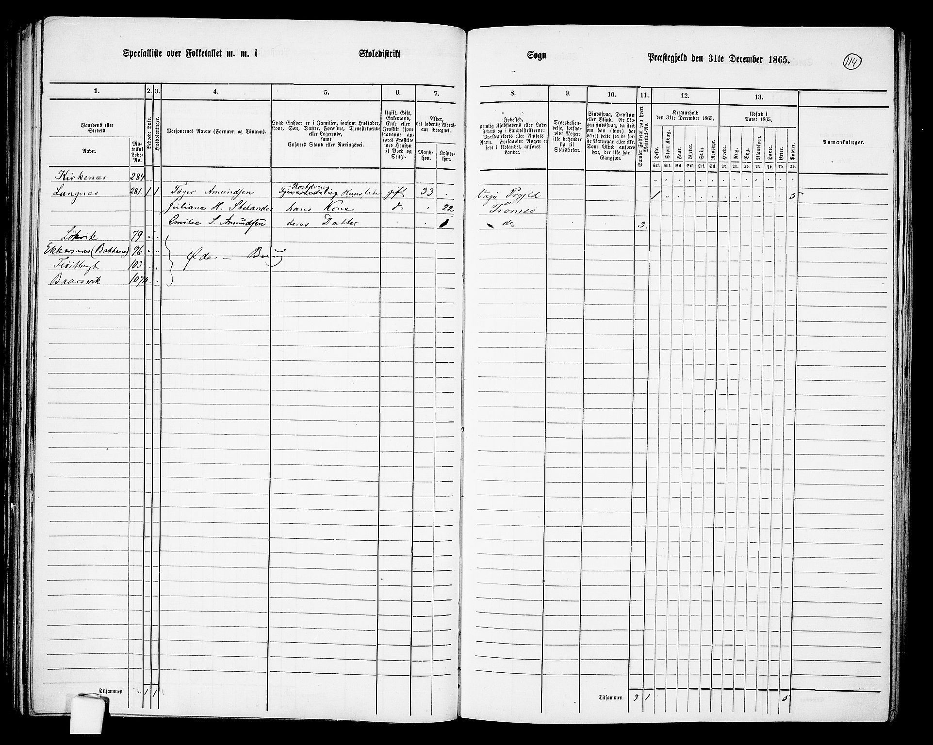 RA, Folketelling 1865 for 1934P Tromsøysund prestegjeld, 1865, s. 98