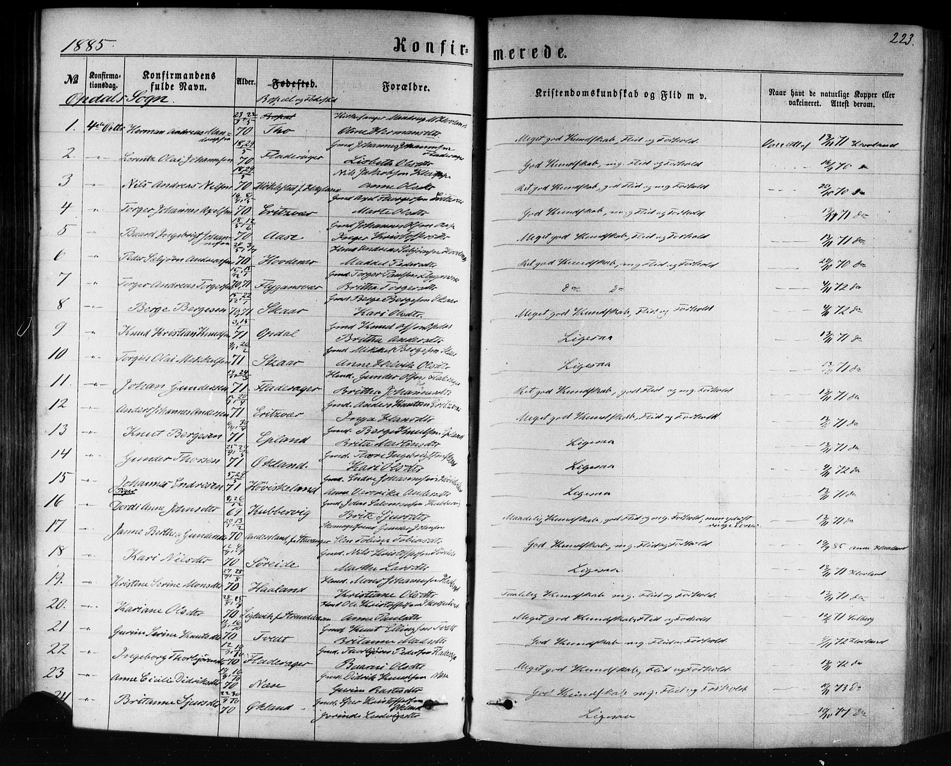 Tysnes sokneprestembete, AV/SAB-A-78601/H/Haa: Ministerialbok nr. A 12, 1872-1886, s. 223