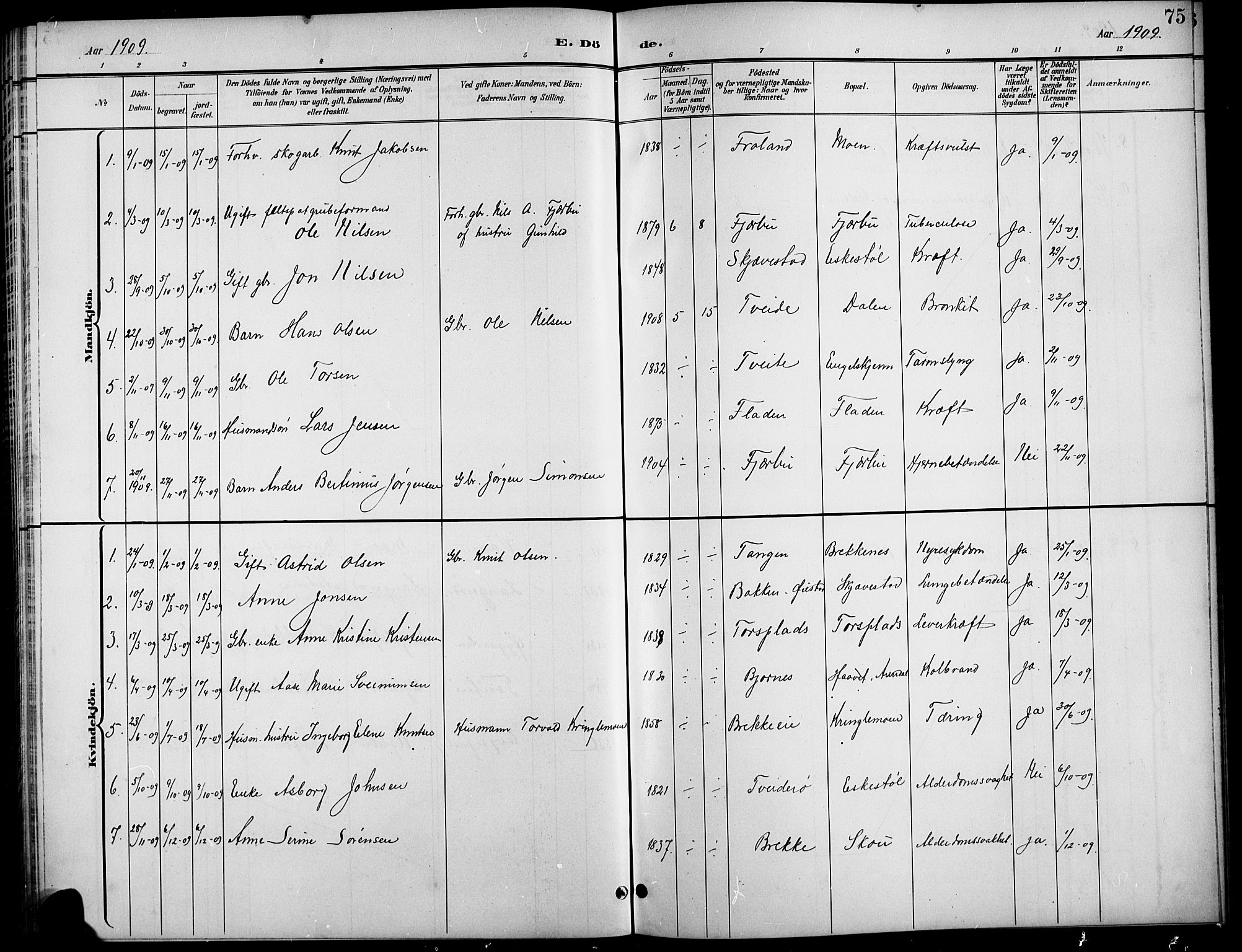 Austre Moland sokneprestkontor, AV/SAK-1111-0001/F/Fb/Fba/L0004: Klokkerbok nr. B 4a, 1897-1913, s. 75