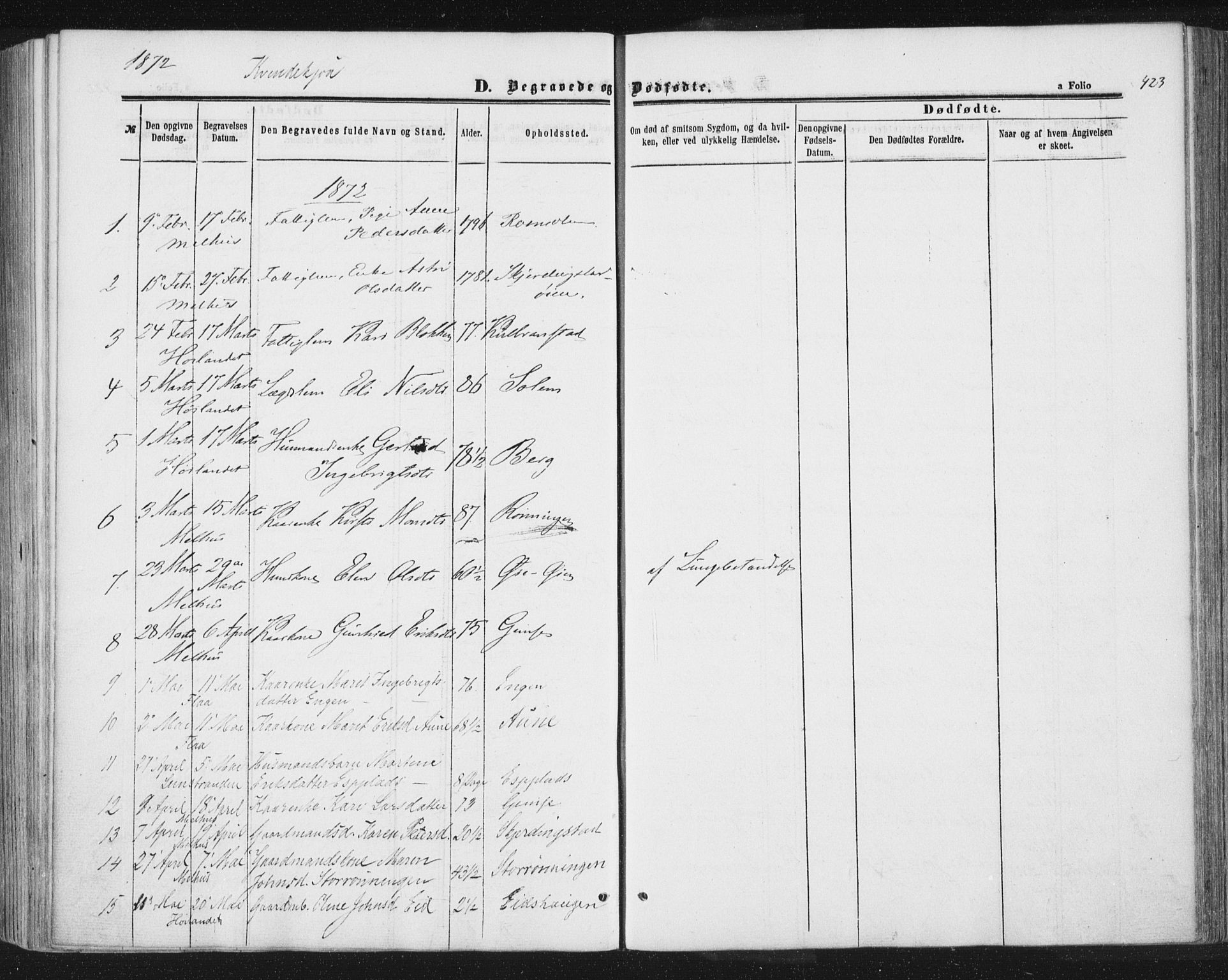Ministerialprotokoller, klokkerbøker og fødselsregistre - Sør-Trøndelag, SAT/A-1456/691/L1077: Ministerialbok nr. 691A09, 1862-1873, s. 423