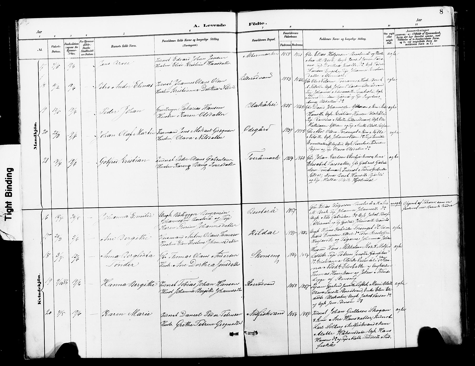 Ministerialprotokoller, klokkerbøker og fødselsregistre - Nordland, AV/SAT-A-1459/827/L0421: Klokkerbok nr. 827C10, 1887-1906, s. 8