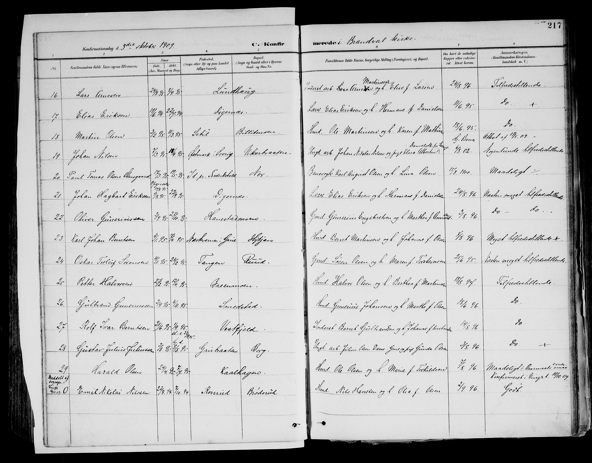 Brandval prestekontor, AV/SAH-PREST-034/H/Ha/Haa/L0003: Ministerialbok nr. 3, 1894-1909, s. 217