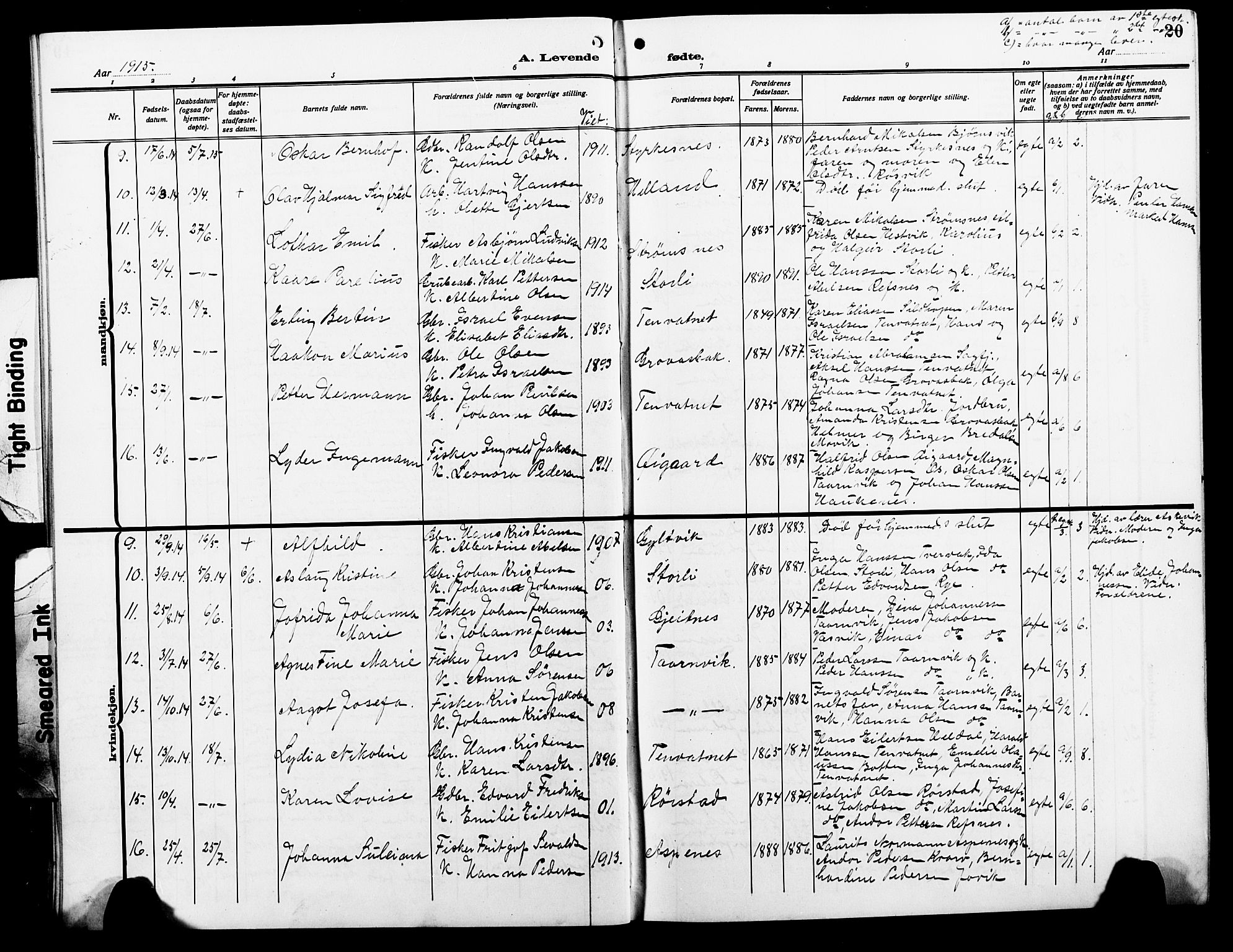 Ministerialprotokoller, klokkerbøker og fødselsregistre - Nordland, AV/SAT-A-1459/854/L0787: Klokkerbok nr. 854C03, 1913-1926, s. 20