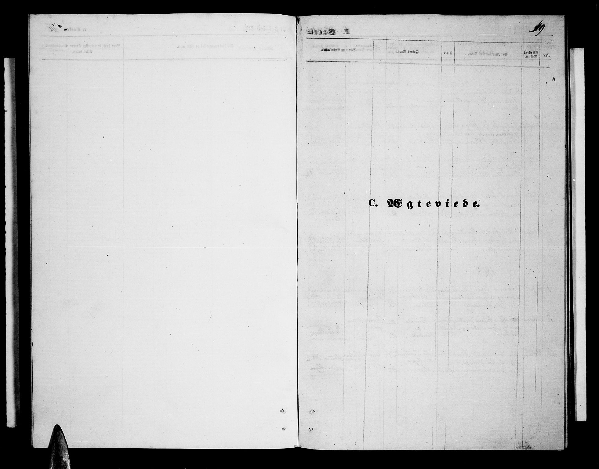 Ministerialprotokoller, klokkerbøker og fødselsregistre - Nordland, SAT/A-1459/897/L1412: Klokkerbok nr. 897C02, 1867-1886, s. 119