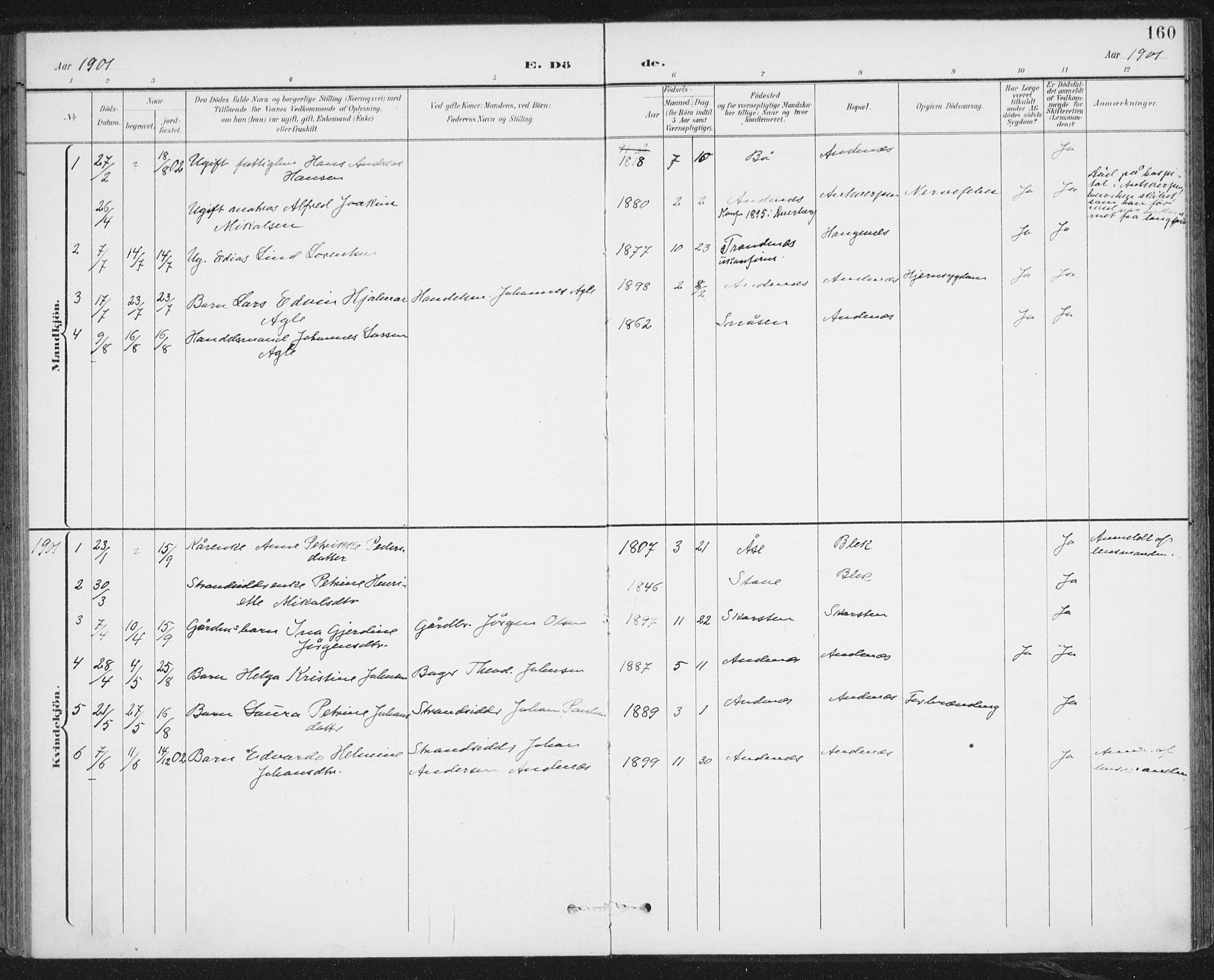 Ministerialprotokoller, klokkerbøker og fødselsregistre - Nordland, SAT/A-1459/899/L1437: Ministerialbok nr. 899A05, 1897-1908, s. 160