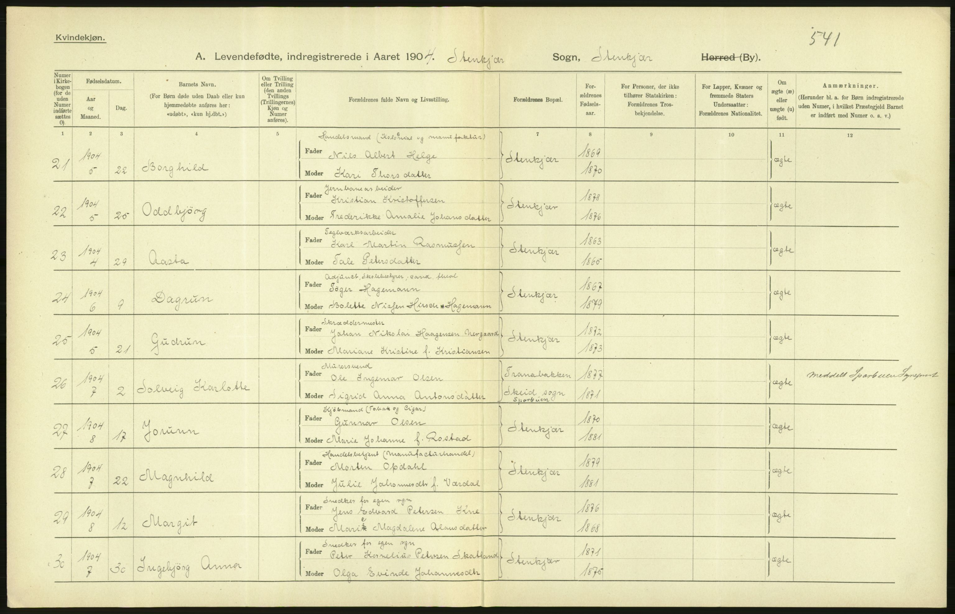 Statistisk sentralbyrå, Sosiodemografiske emner, Befolkning, AV/RA-S-2228/D/Df/Dfa/Dfab/L0019: Nordre Trondhjems amt: Fødte, gifte, døde, 1904, s. 14