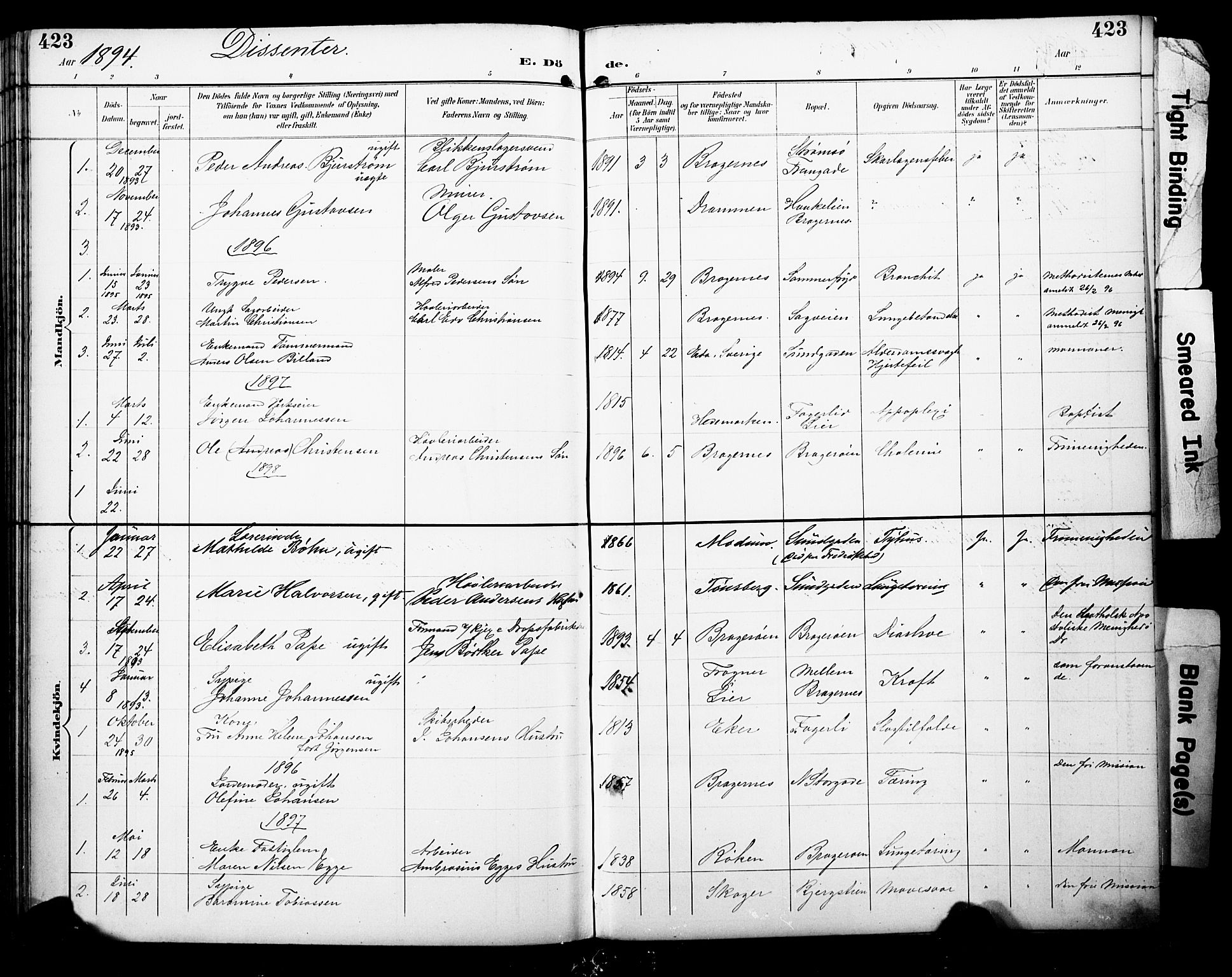Bragernes kirkebøker, AV/SAKO-A-6/F/Fb/L0008: Ministerialbok nr. II 8, 1894-1902, s. 423