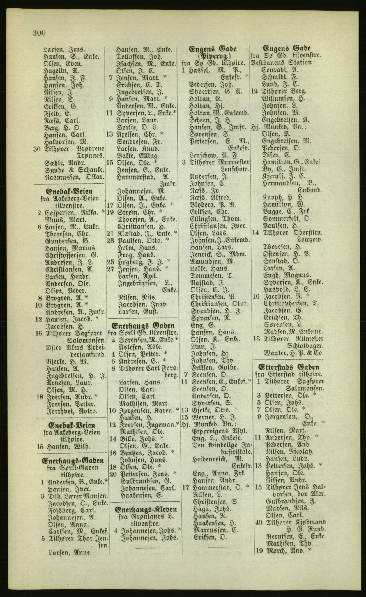 Kristiania/Oslo adressebok, PUBL/-, 1880, s. 300