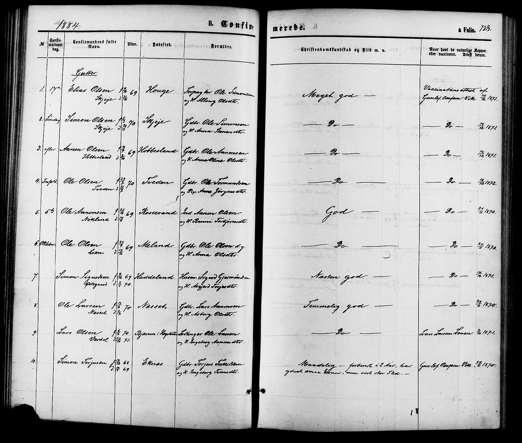 Hægebostad sokneprestkontor, SAK/1111-0024/F/Fa/Fab/L0003: Ministerialbok nr. A 3, 1872-1886, s. 123