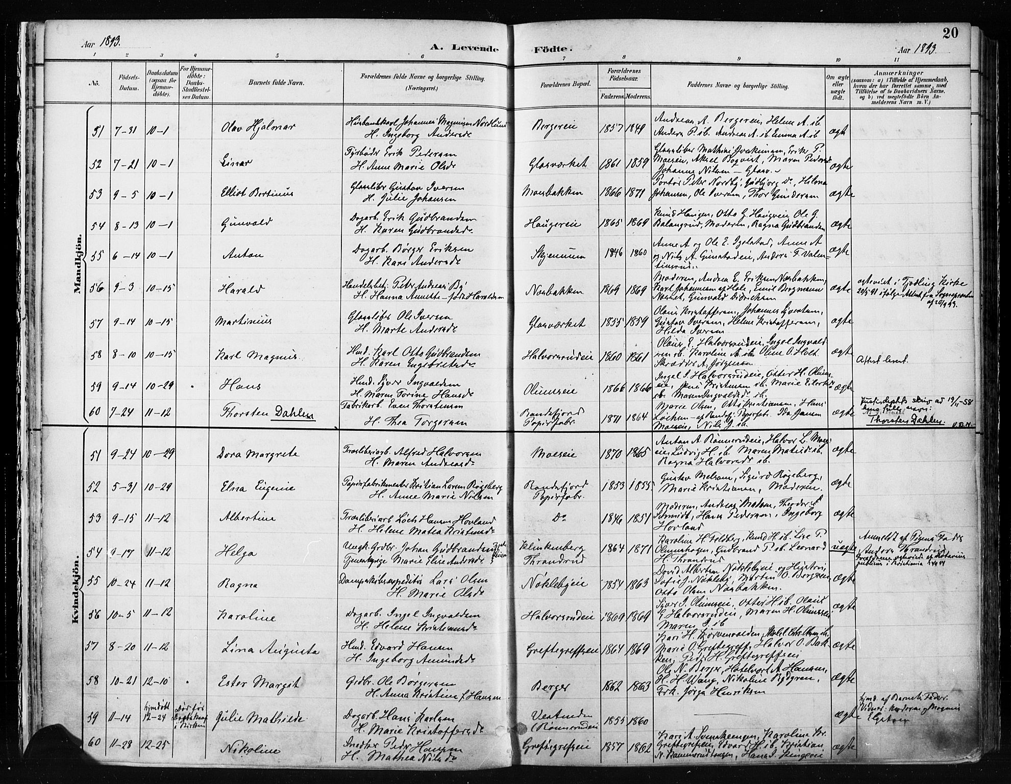 Jevnaker prestekontor, AV/SAH-PREST-116/H/Ha/Haa/L0009: Ministerialbok nr. 9, 1891-1901, s. 20