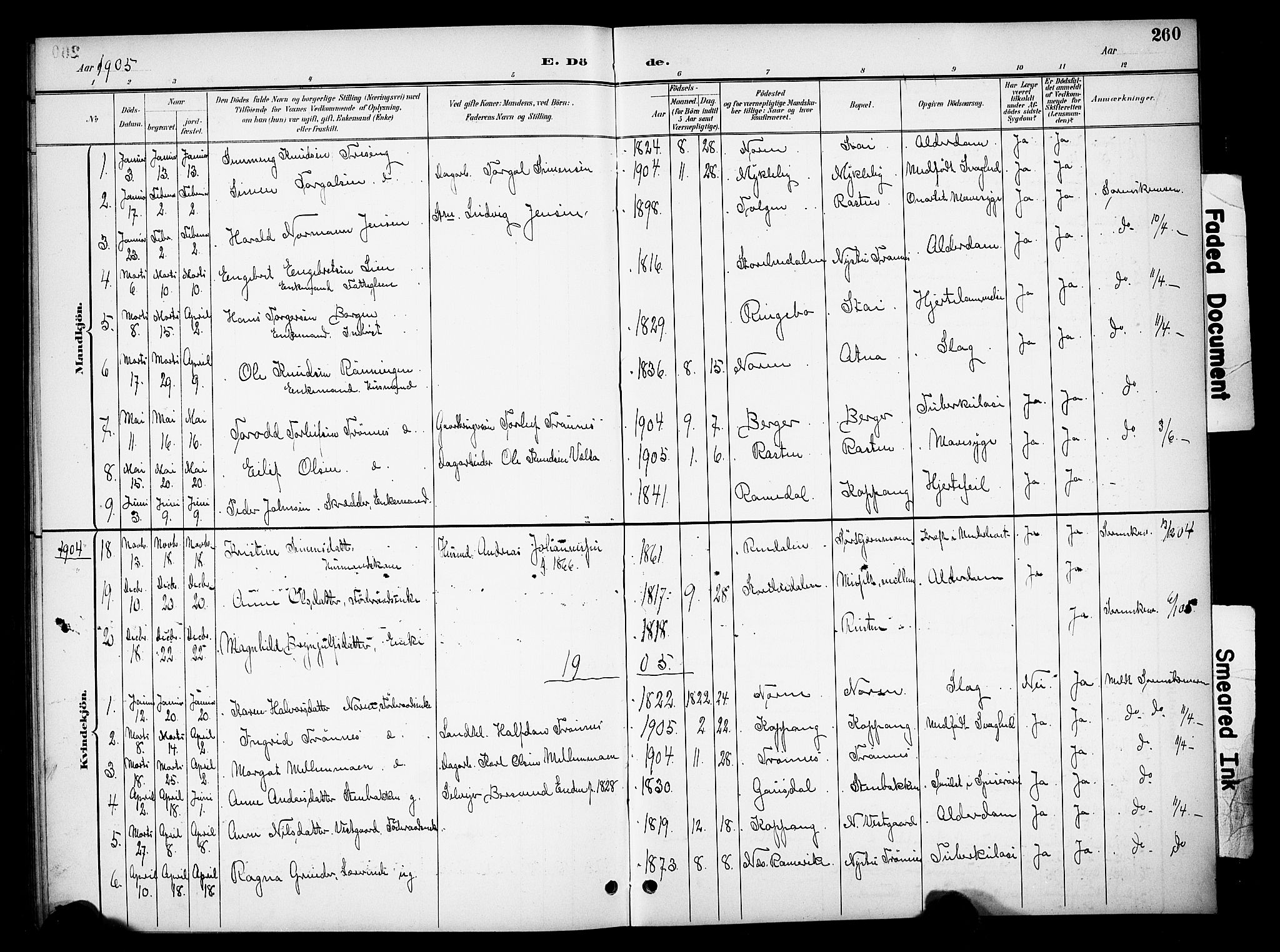 Stor-Elvdal prestekontor, SAH/PREST-052/H/Ha/Hab/L0003: Klokkerbok nr. 3, 1895-1917, s. 260