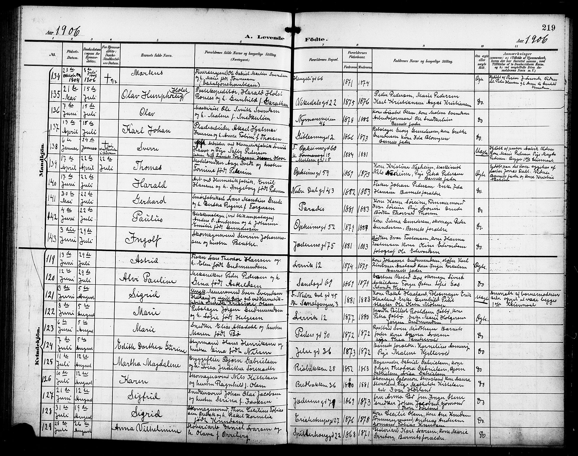 St. Johannes sokneprestkontor, AV/SAST-A-101814/001/30/30BB/L0004: Klokkerbok nr. B 4, 1900-1907, s. 219