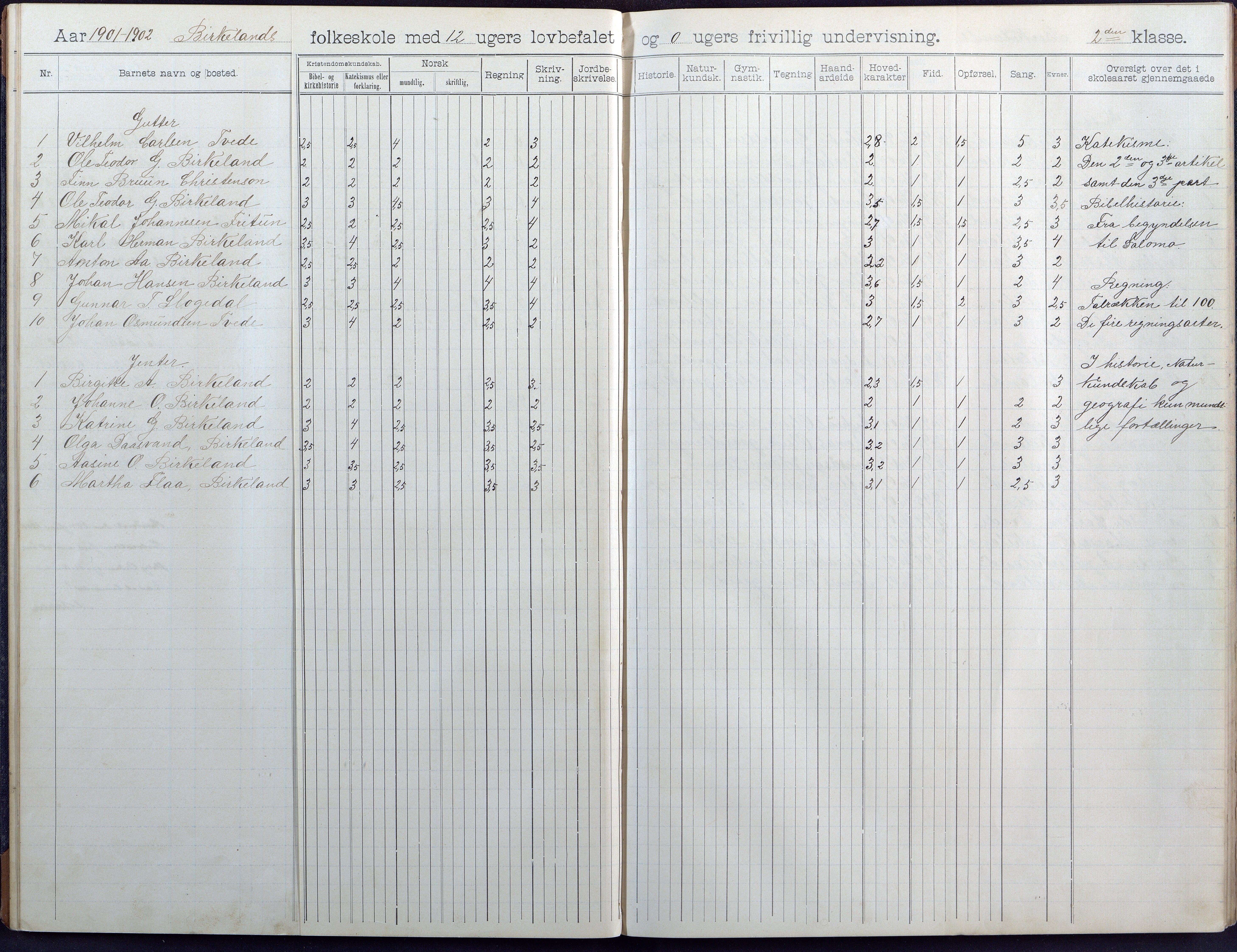 Birkenes kommune, Birkenes krets/Birkeland folkeskole frem til 1991, AAKS/KA0928-550a_91/F02/L0005: Skoleprotokoll, 1898-1911