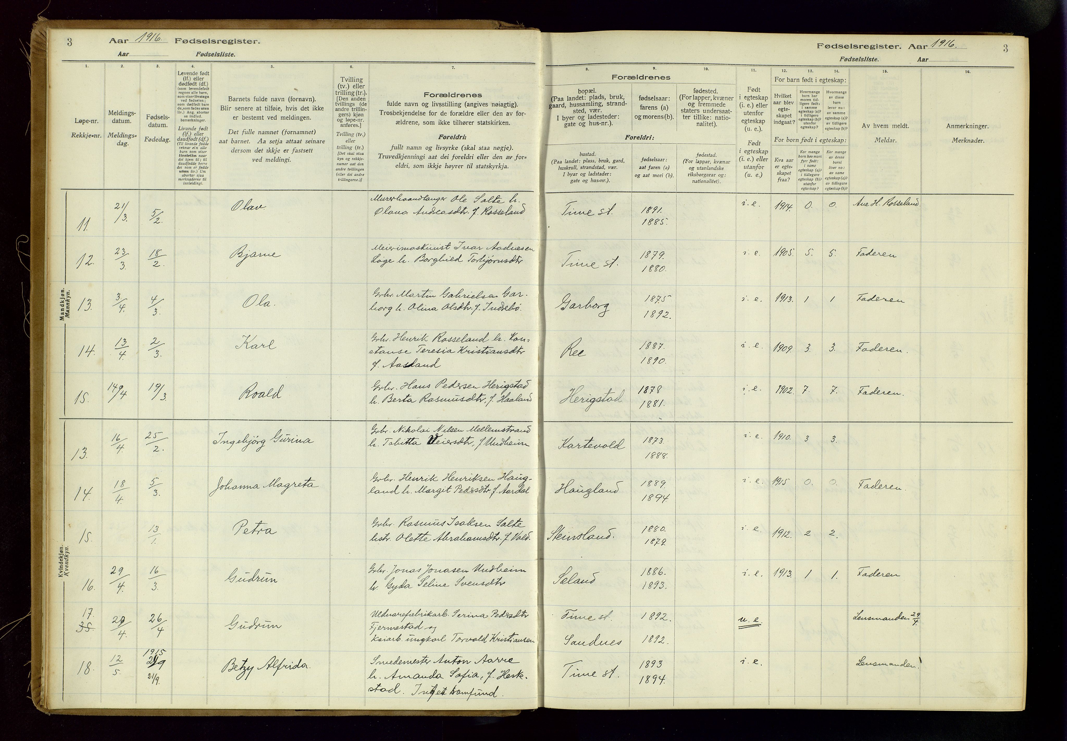 Time sokneprestkontor, AV/SAST-A-101795/001/704BA/L0001: Fødselsregister nr. 1, 1916-1934, s. 3
