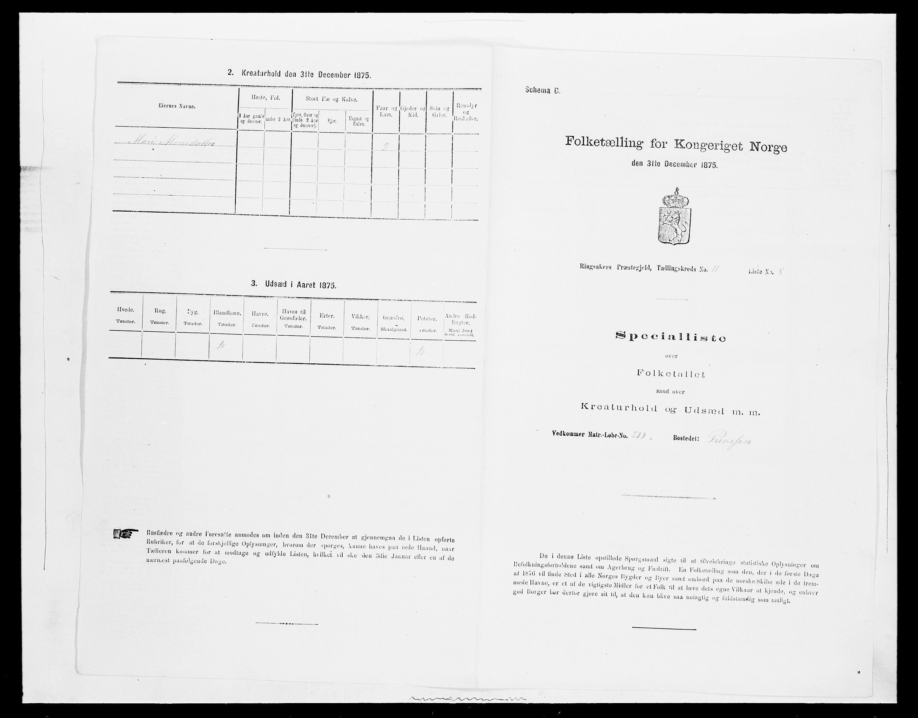 SAH, Folketelling 1875 for 0412P Ringsaker prestegjeld, 1875, s. 2177
