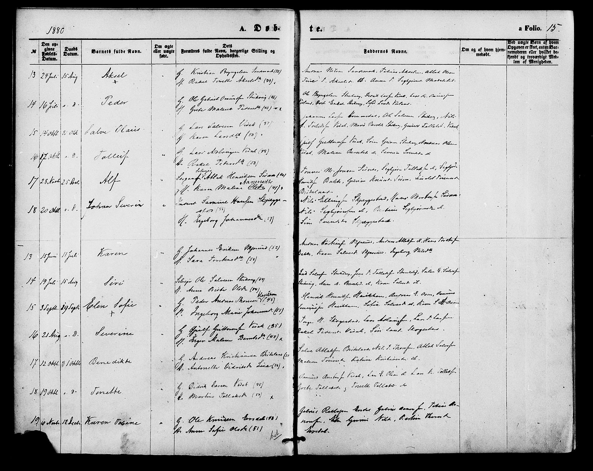 Bakke sokneprestkontor, AV/SAK-1111-0002/F/Fa/Faa/L0007: Ministerialbok nr. A 7, 1877-1886, s. 15