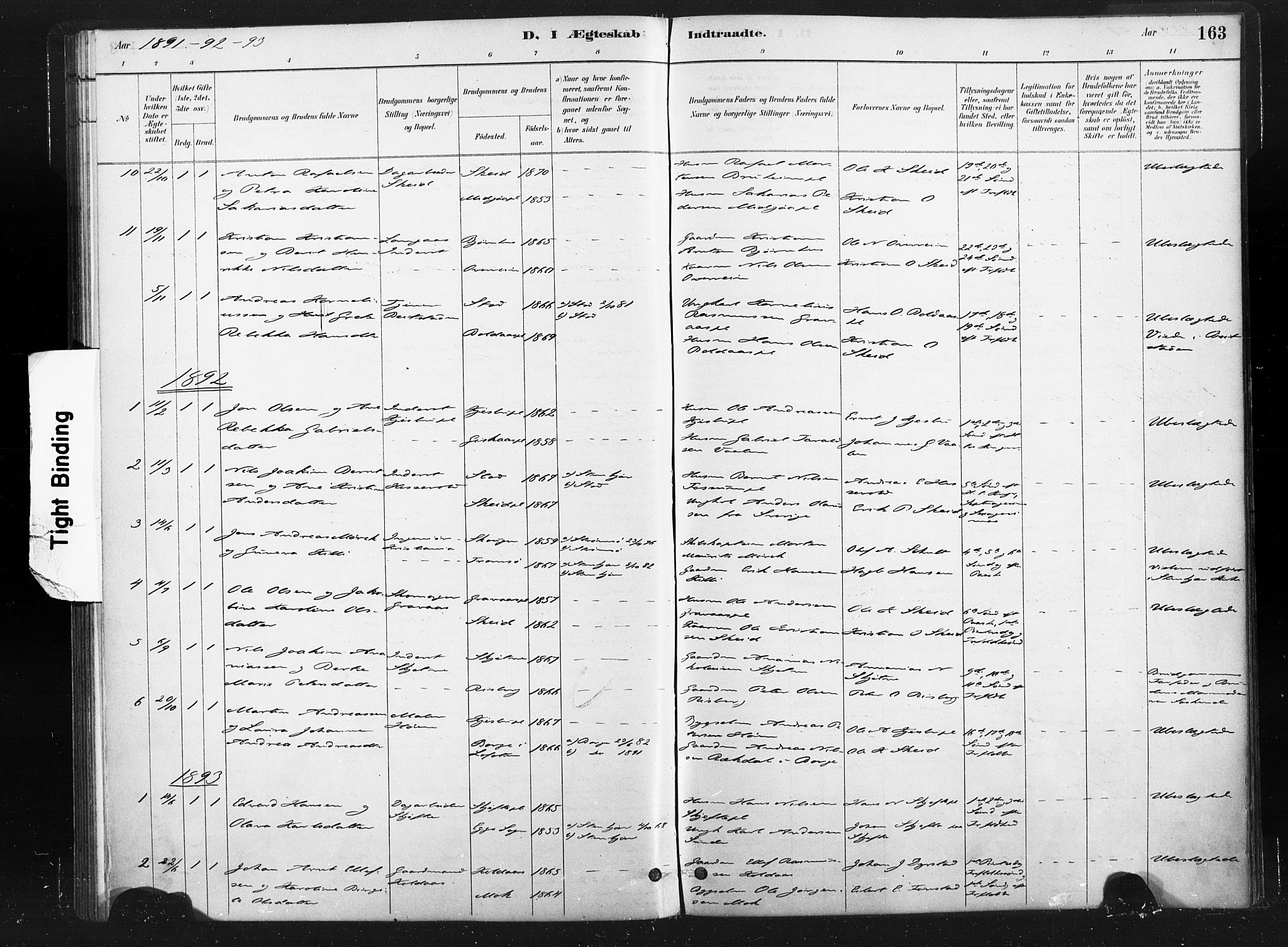 Ministerialprotokoller, klokkerbøker og fødselsregistre - Nord-Trøndelag, SAT/A-1458/736/L0361: Ministerialbok nr. 736A01, 1884-1906, s. 163