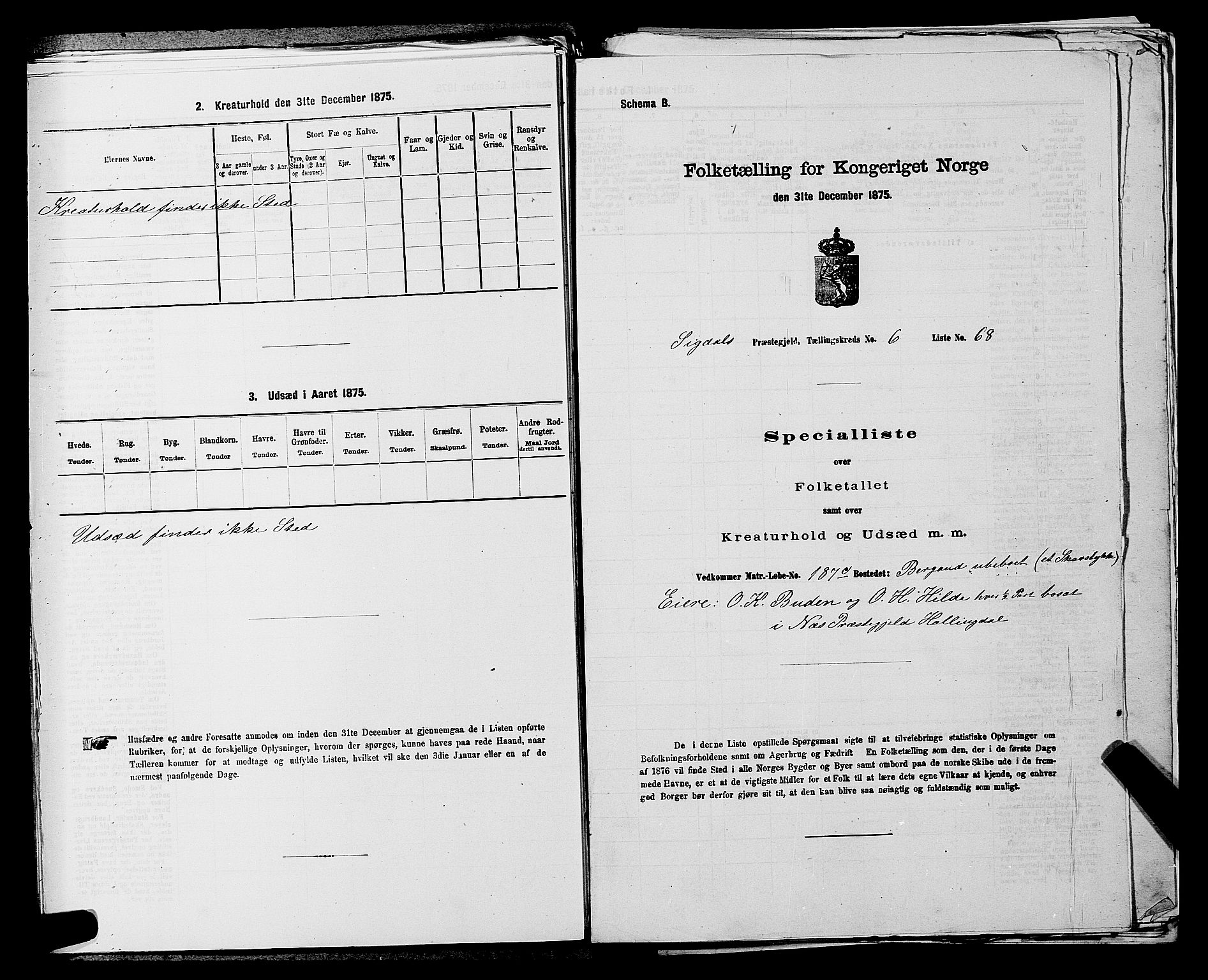 SAKO, Folketelling 1875 for 0621P Sigdal prestegjeld, 1875, s. 989