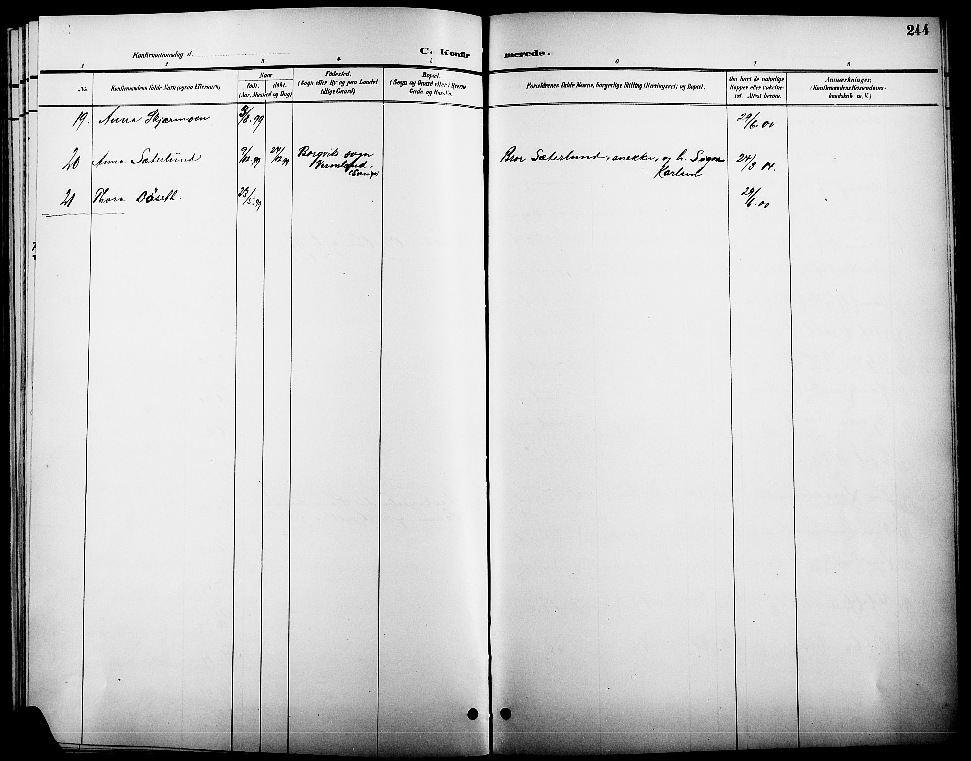 Elverum prestekontor, SAH/PREST-044/H/Ha/Hab/L0005: Klokkerbok nr. 5, 1896-1915, s. 244