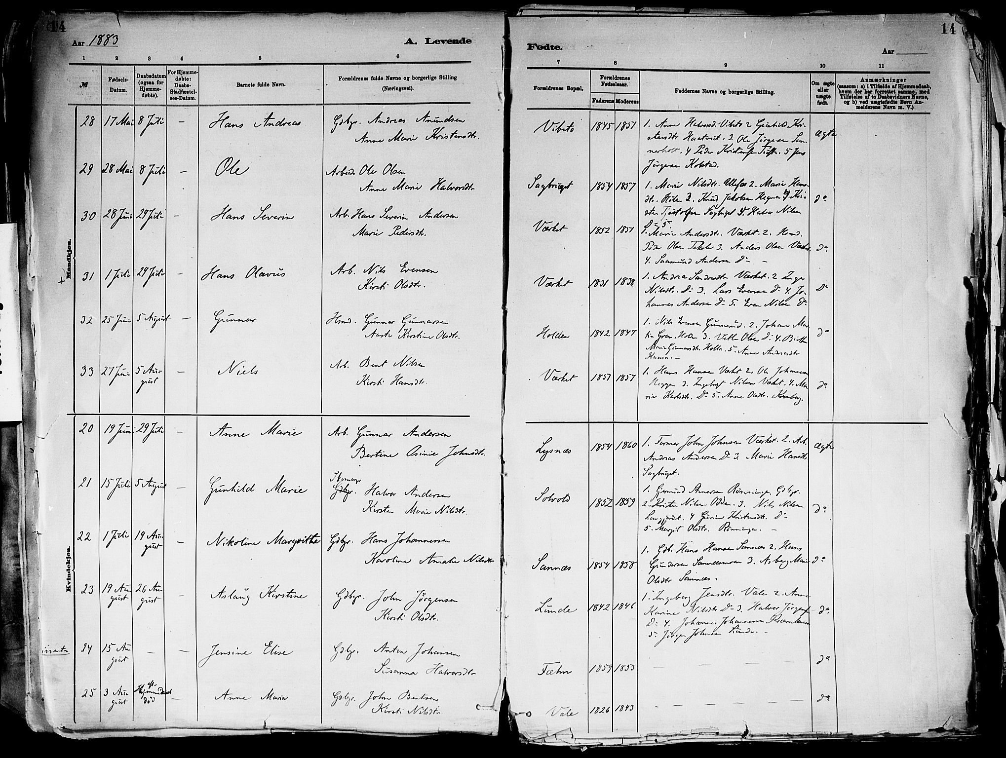 Holla kirkebøker, AV/SAKO-A-272/F/Fa/L0008: Ministerialbok nr. 8, 1882-1897, s. 14