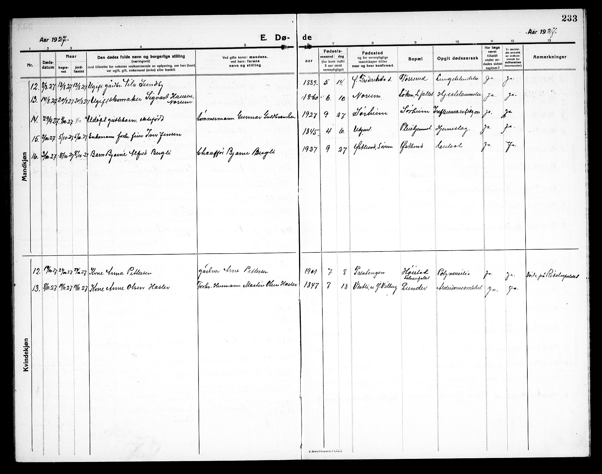 Sørum prestekontor Kirkebøker, AV/SAO-A-10303/G/Ga/L0008: Klokkerbok nr. I 8, 1917-1934, s. 233