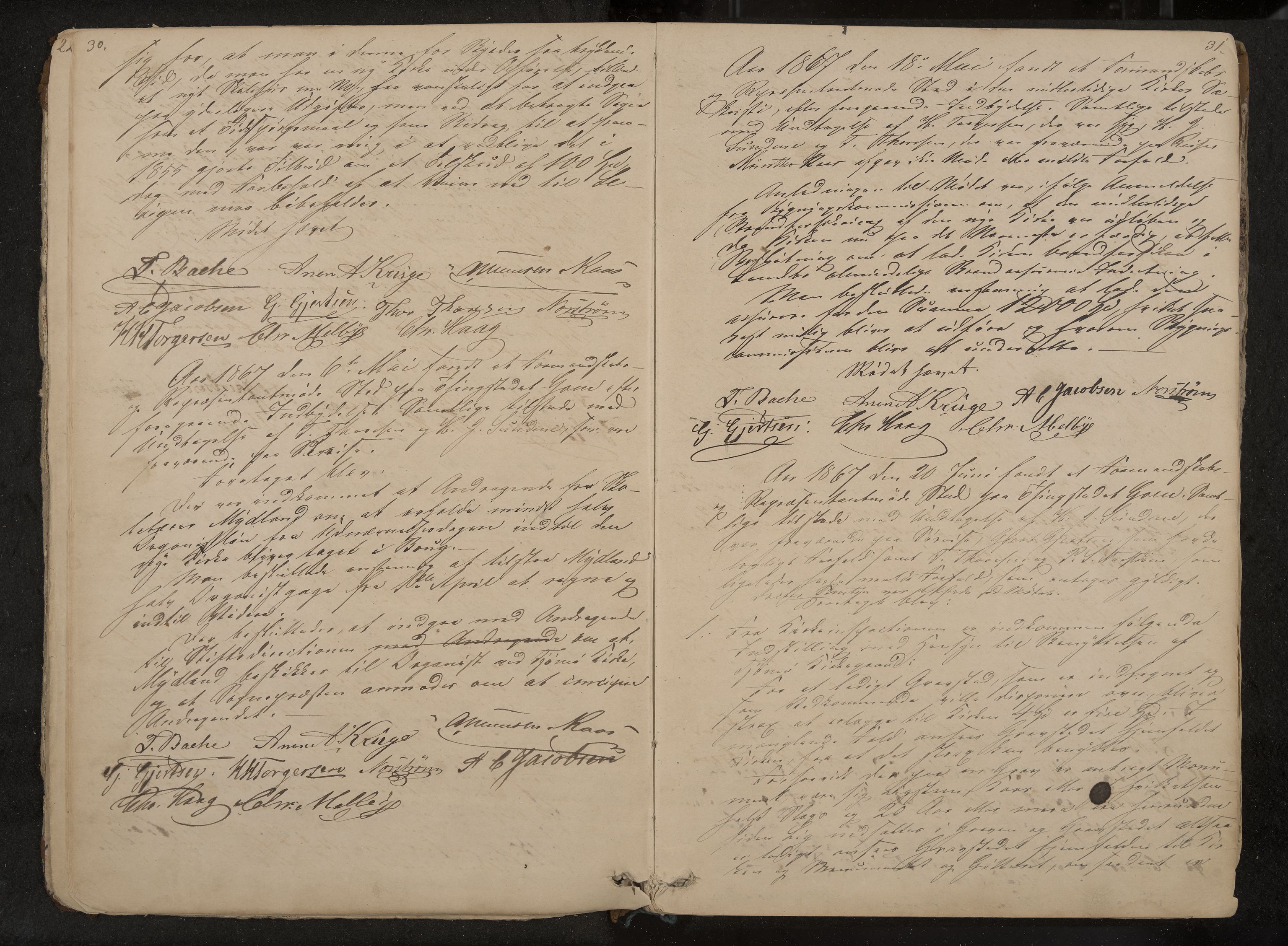 Tjøme formannskap og sentraladministrasjon, IKAK/0723021-1/A/L0002: Møtebok, 1865-1886, s. 30-31
