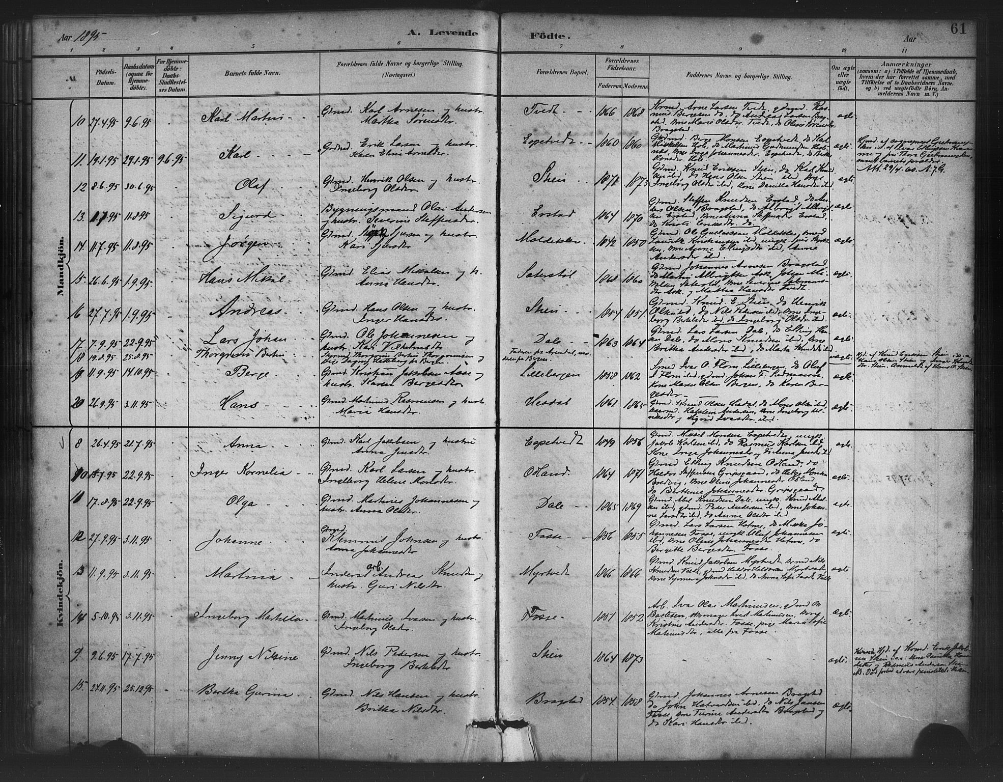Alversund Sokneprestembete, AV/SAB-A-73901/H/Ha/Haa/Haac/L0001: Ministerialbok nr. C 1, 1882-1900, s. 61