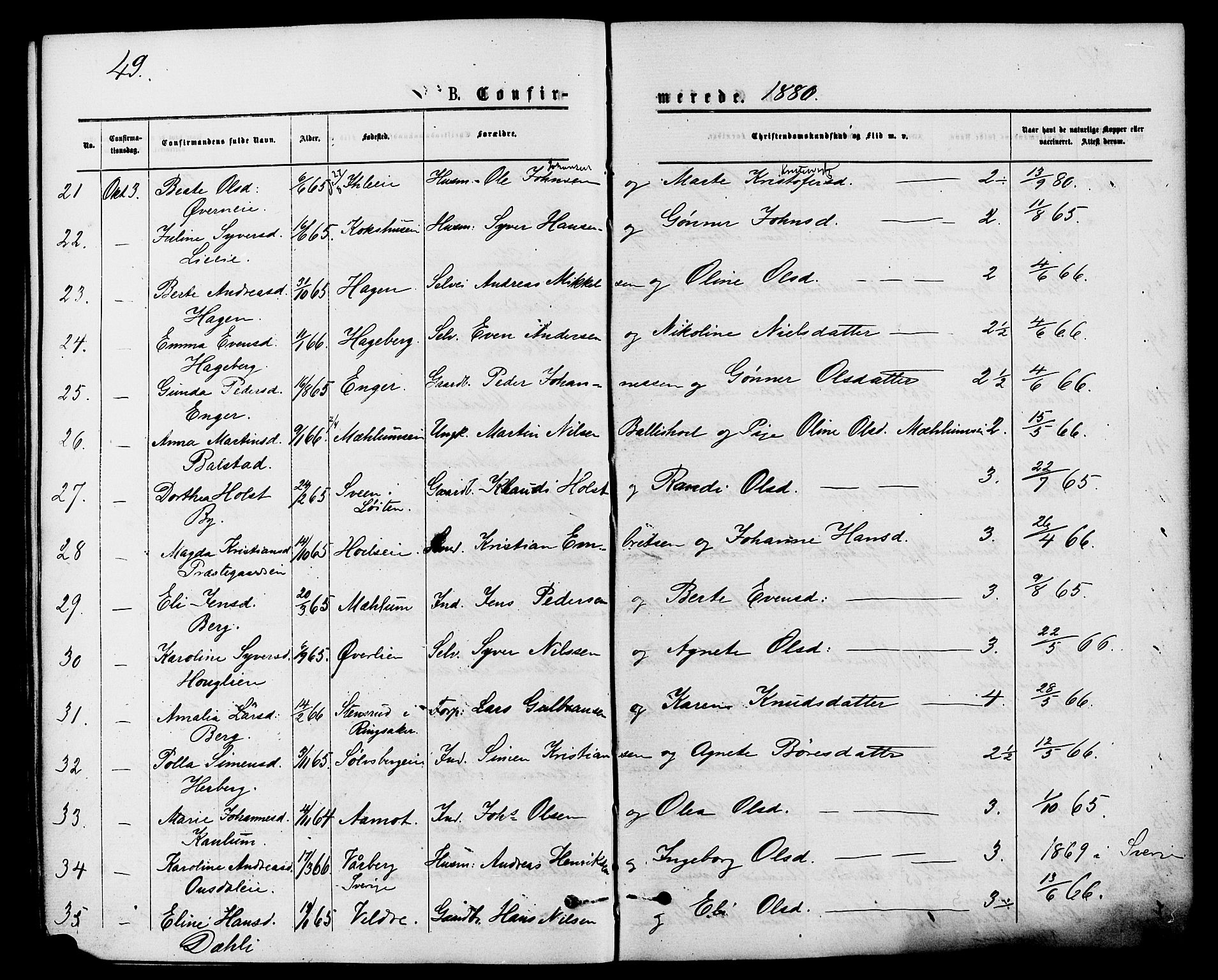 Nes prestekontor, Hedmark, AV/SAH-PREST-020/K/Ka/L0006: Ministerialbok nr. 6, 1873-1886, s. 49