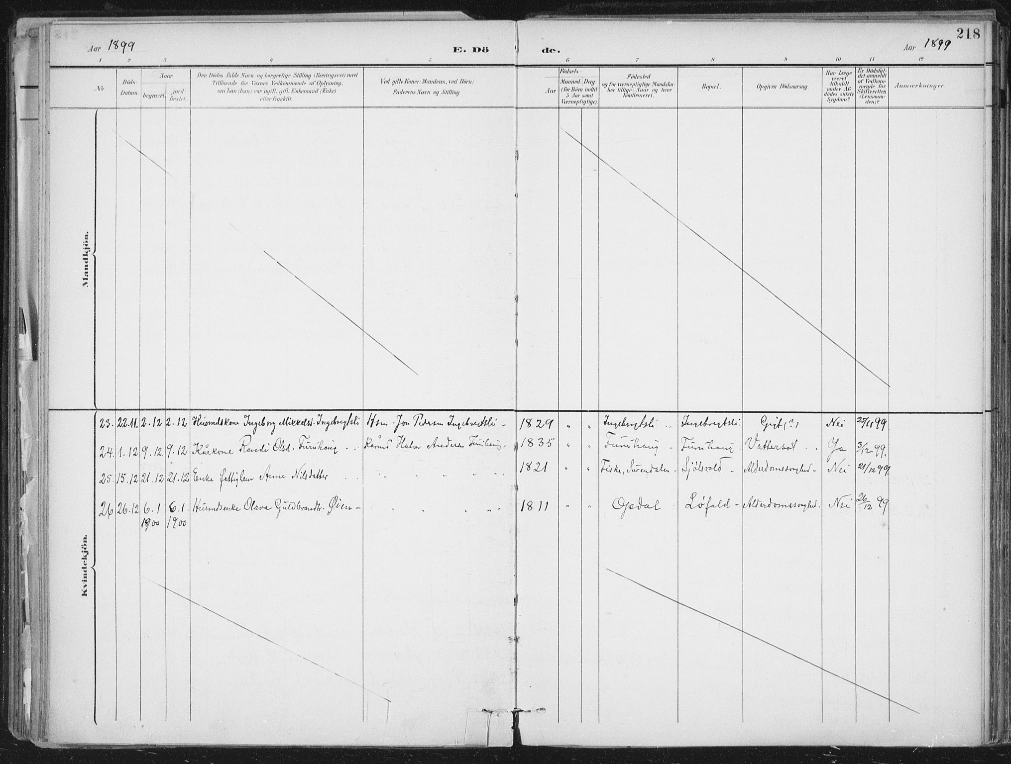 Ministerialprotokoller, klokkerbøker og fødselsregistre - Møre og Romsdal, SAT/A-1454/598/L1072: Ministerialbok nr. 598A06, 1896-1910, s. 218