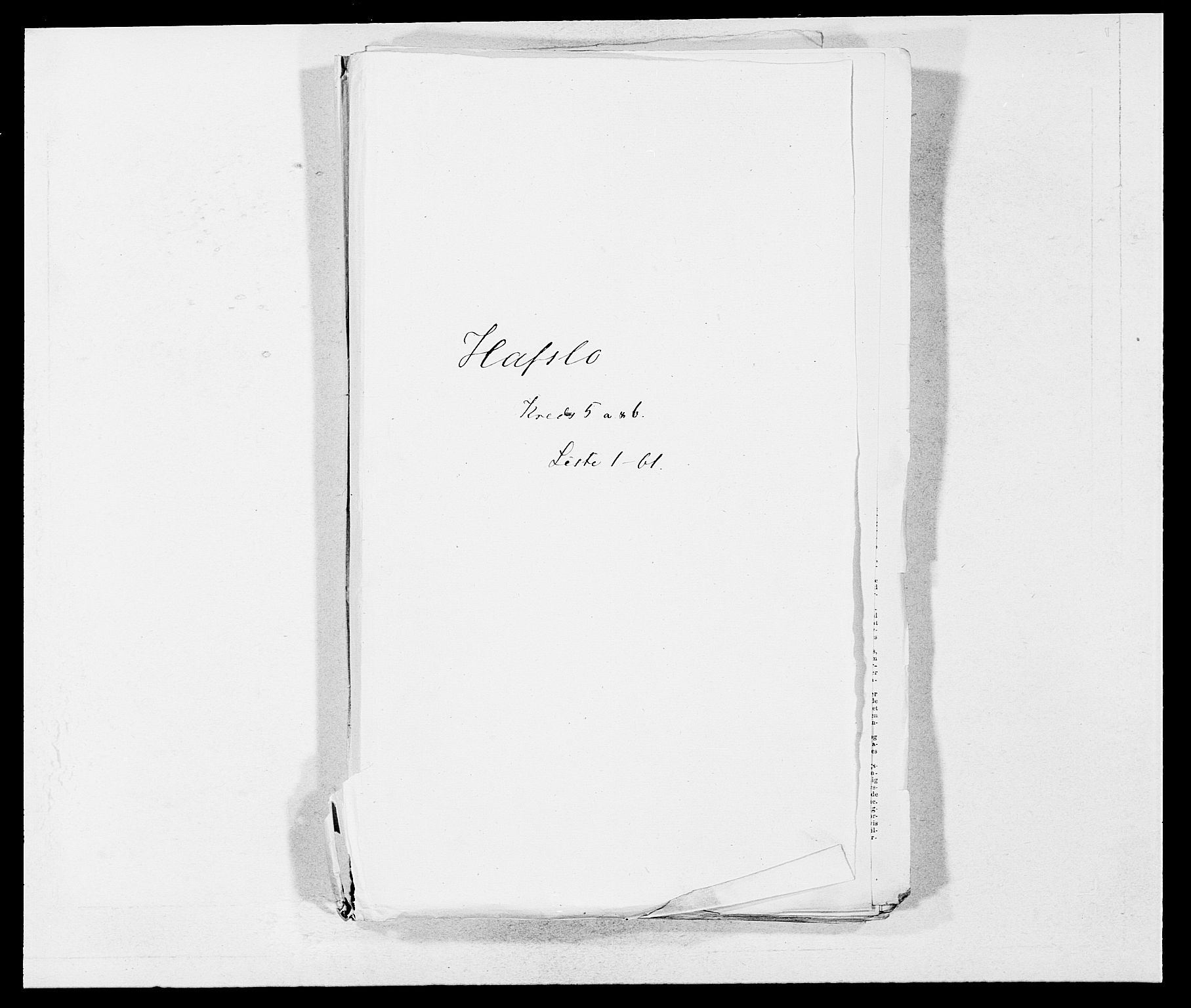 SAB, Folketelling 1875 for 1425P Hafslo prestegjeld, 1875, s. 557
