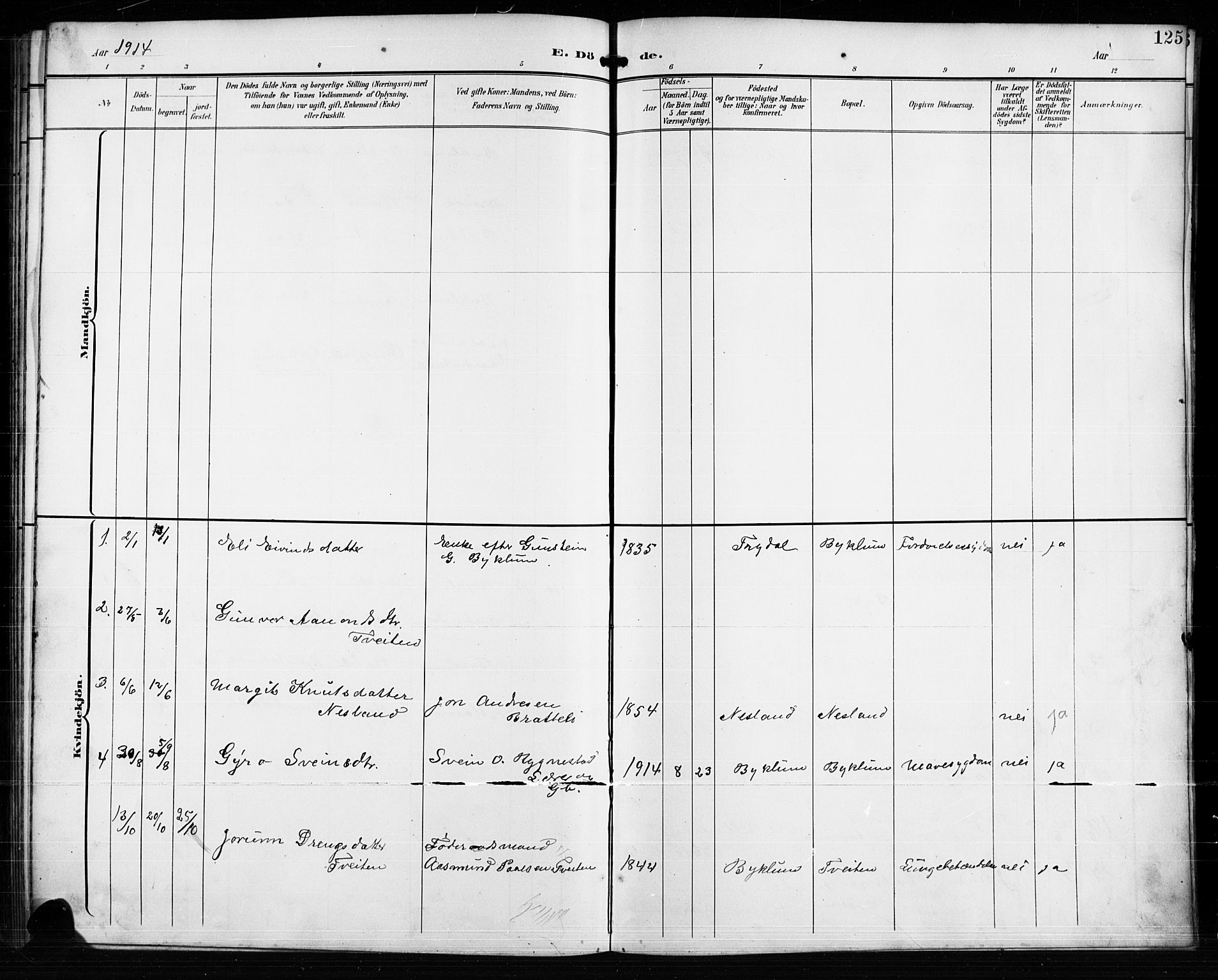Valle sokneprestkontor, SAK/1111-0044/F/Fb/Fba/L0003: Klokkerbok nr. B 3, 1895-1916, s. 125