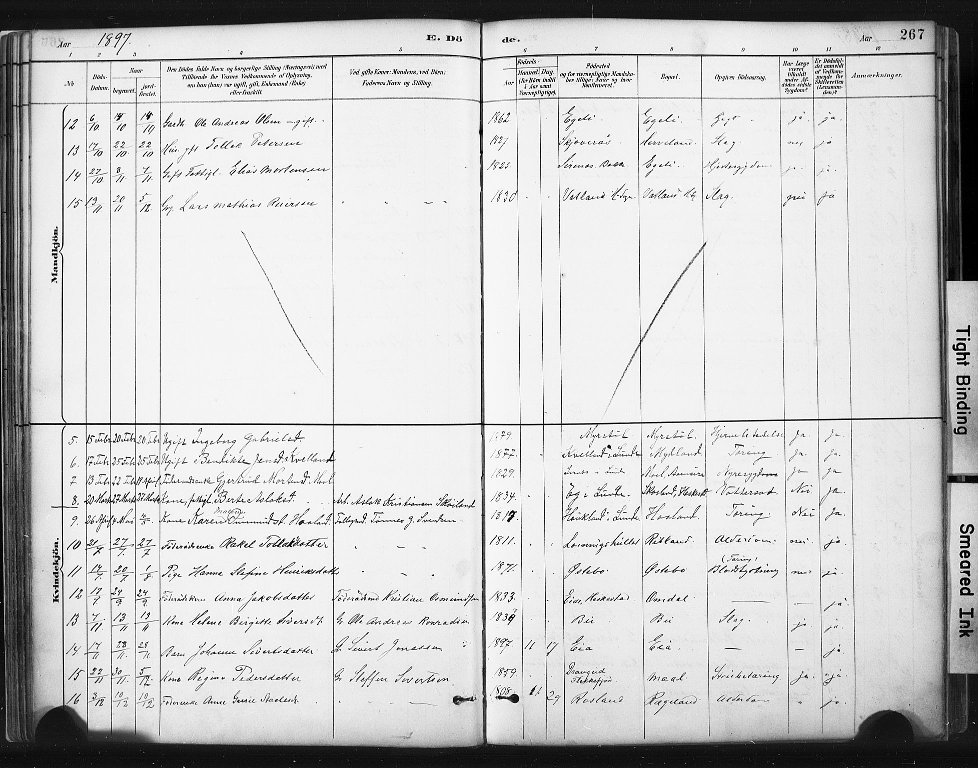Sokndal sokneprestkontor, AV/SAST-A-101808: Ministerialbok nr. A 11.2, 1887-1905, s. 267