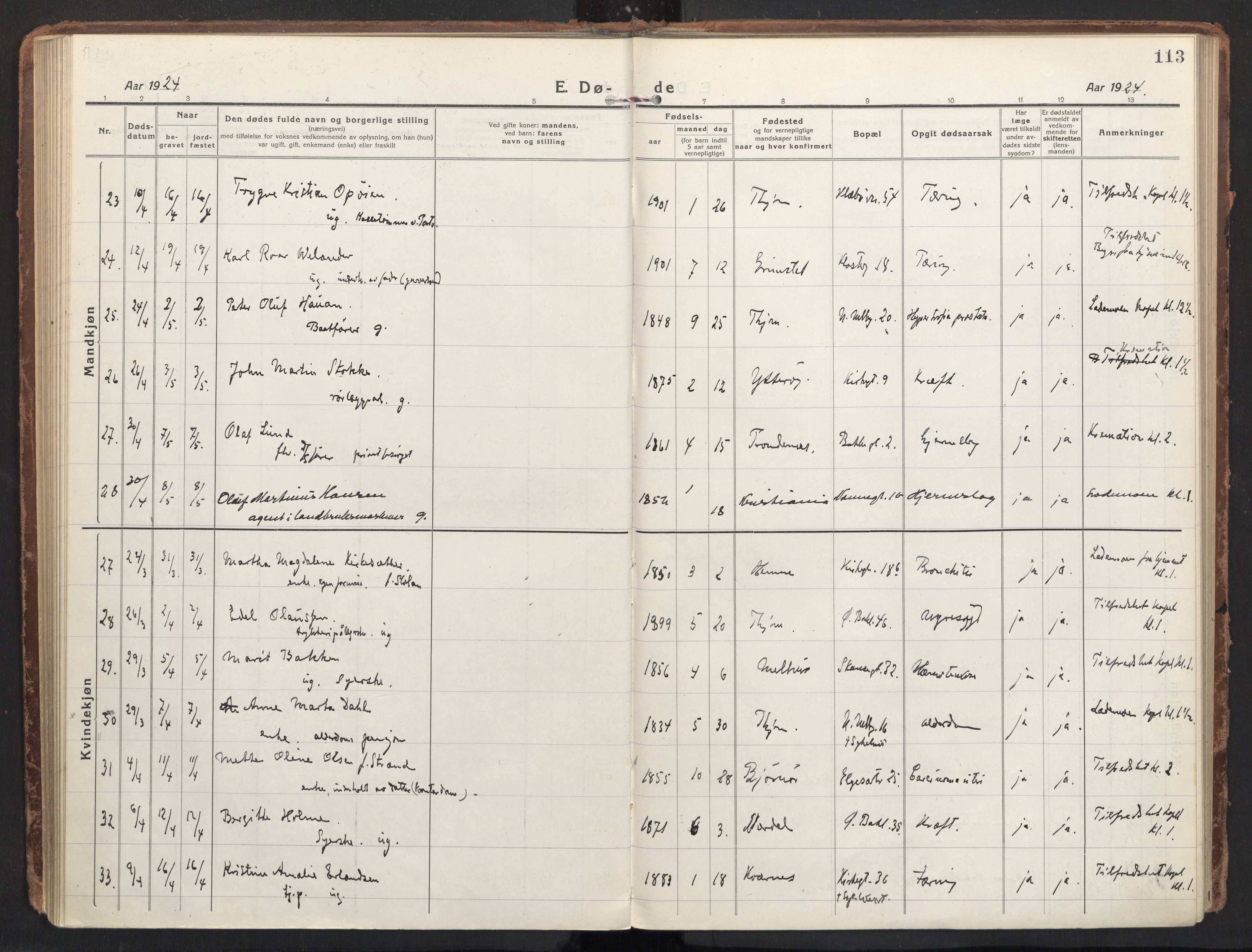 Ministerialprotokoller, klokkerbøker og fødselsregistre - Sør-Trøndelag, SAT/A-1456/604/L0207: Ministerialbok nr. 604A27, 1917-1933, s. 113