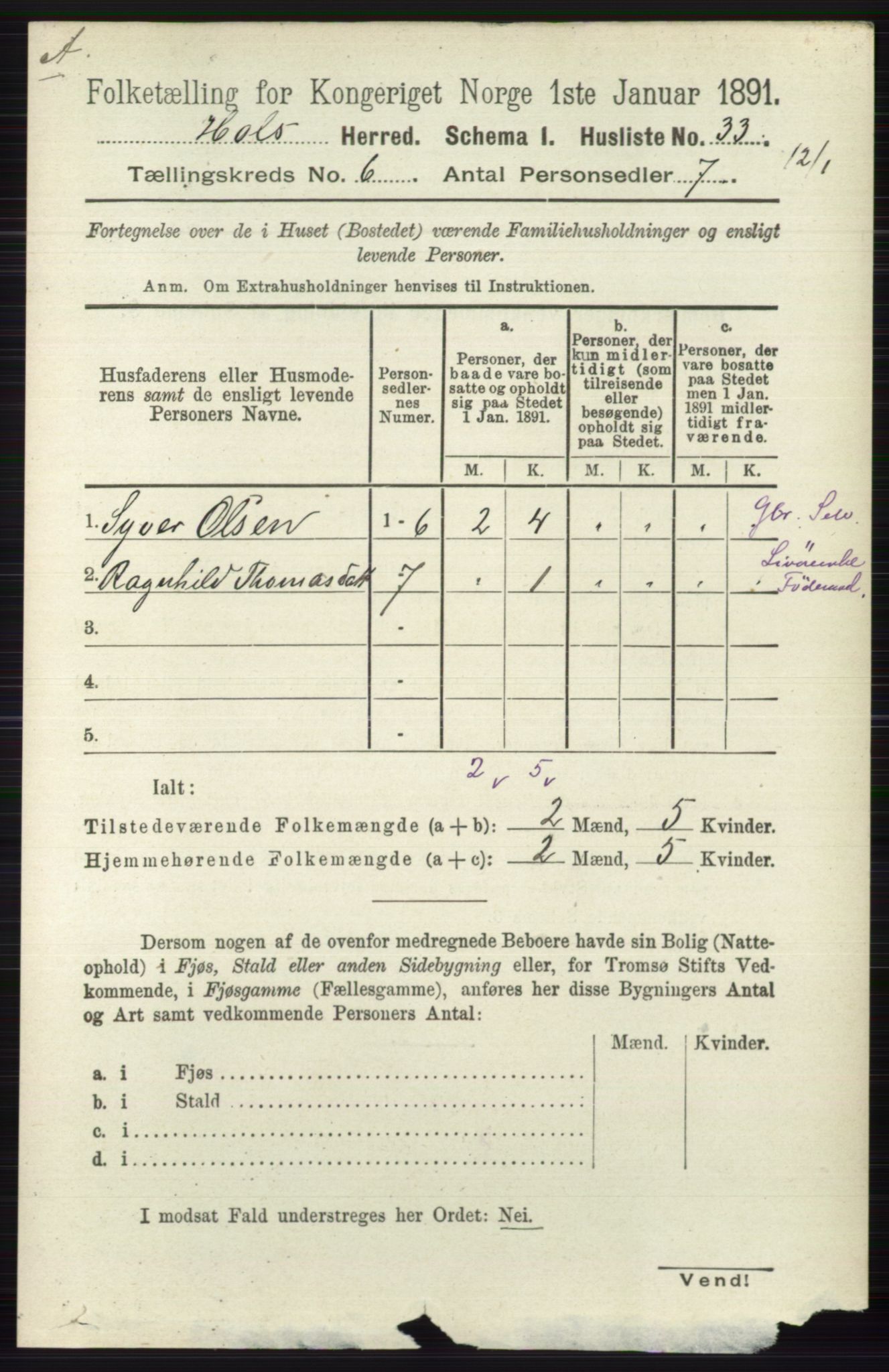 RA, Folketelling 1891 for 0620 Hol herred, 1891, s. 1744